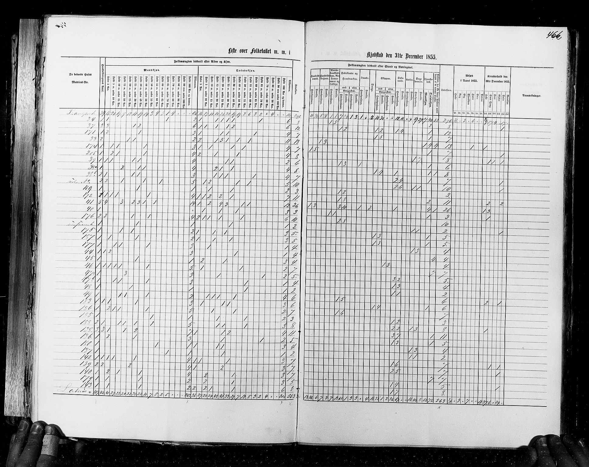 RA, Census 1855, vol. 7: Fredrikshald-Kragerø, 1855, p. 466