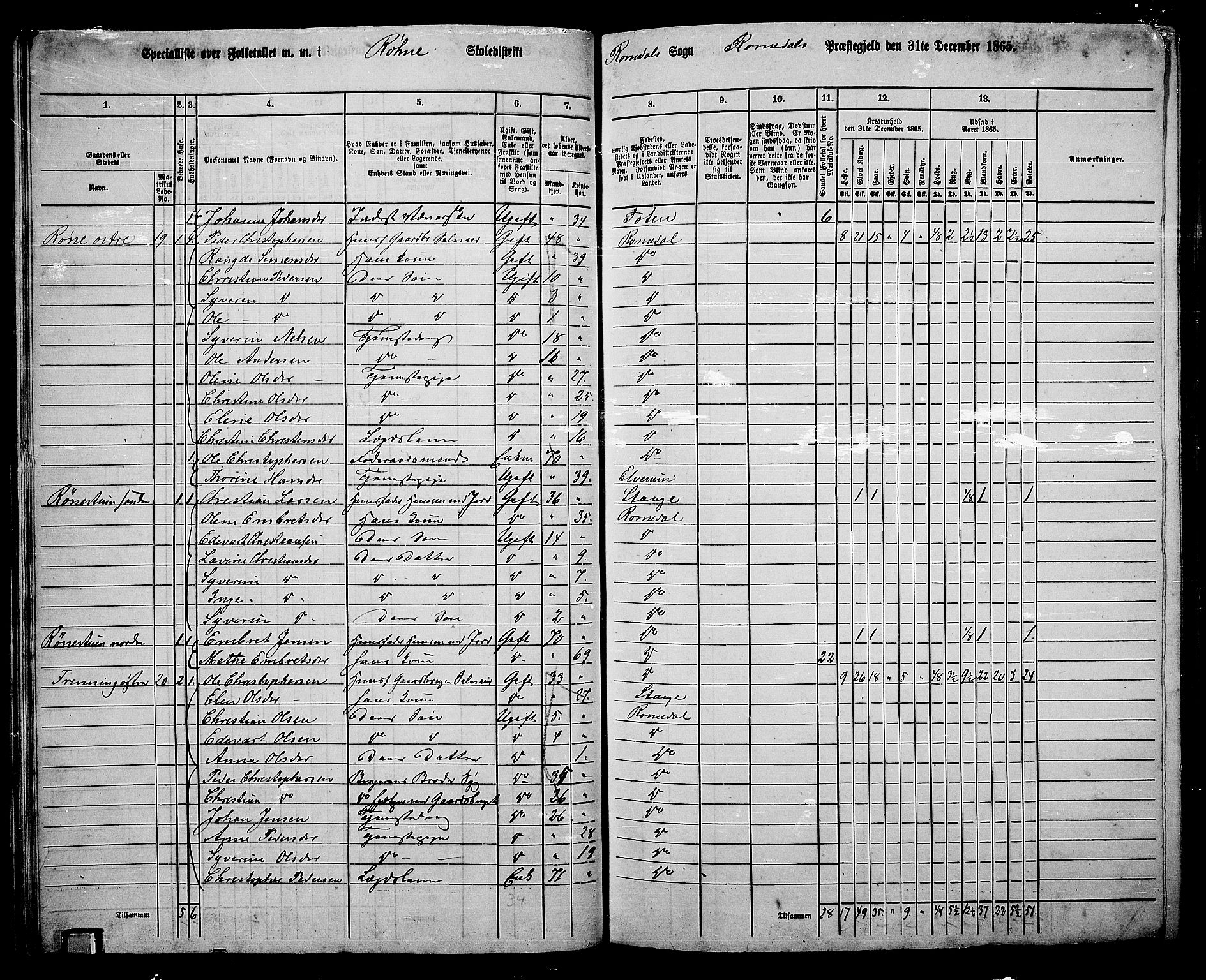 RA, 1865 census for Romedal, 1865, p. 48