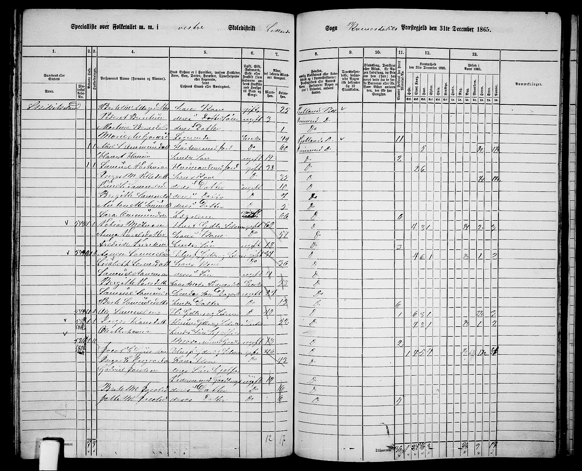 RA, 1865 census for Kvinesdal, 1865, p. 157