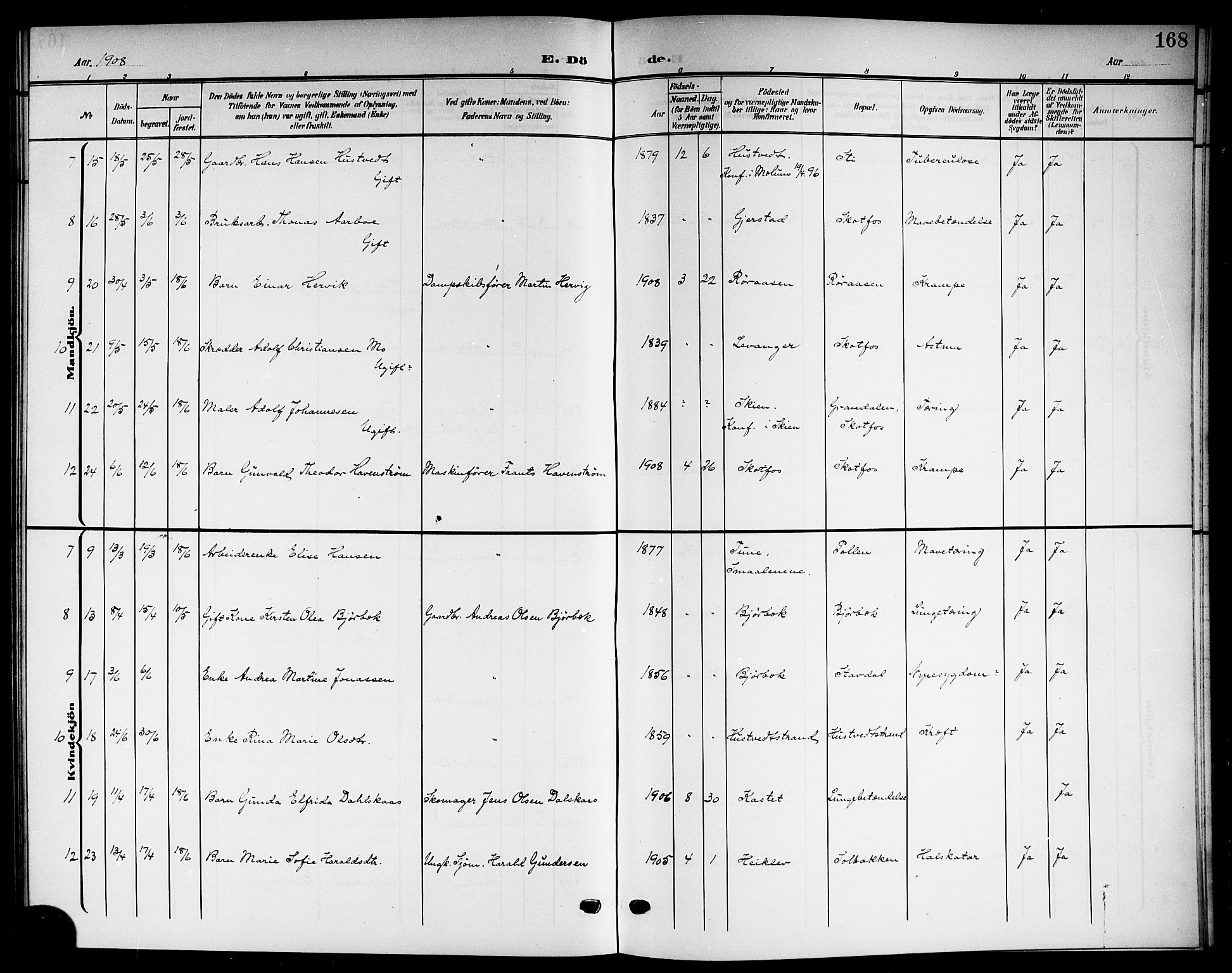 Solum kirkebøker, SAKO/A-306/G/Gb/L0005: Parish register (copy) no. II 5, 1905-1914, p. 168