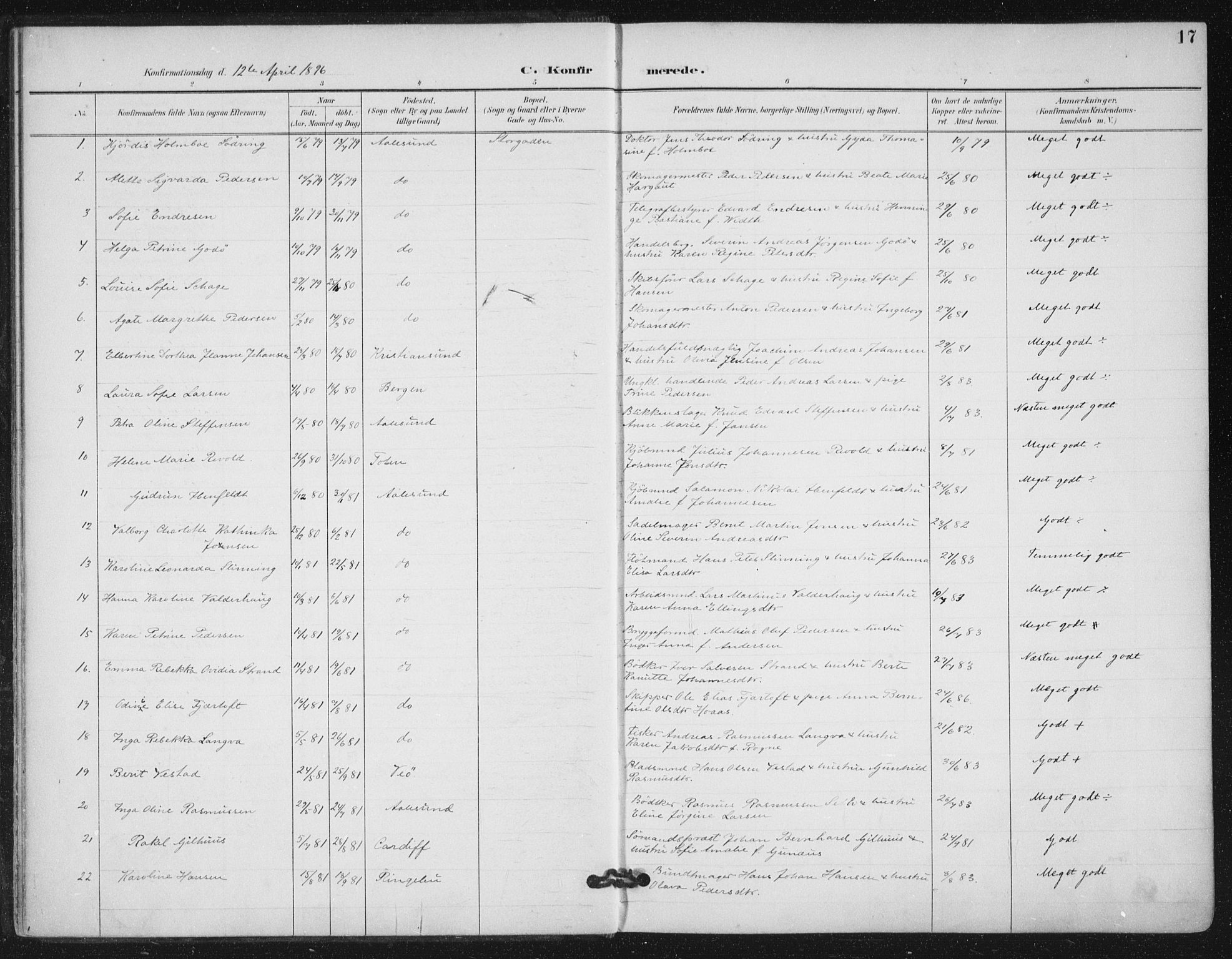 Ministerialprotokoller, klokkerbøker og fødselsregistre - Møre og Romsdal, AV/SAT-A-1454/529/L0457: Parish register (official) no. 529A07, 1894-1903, p. 17