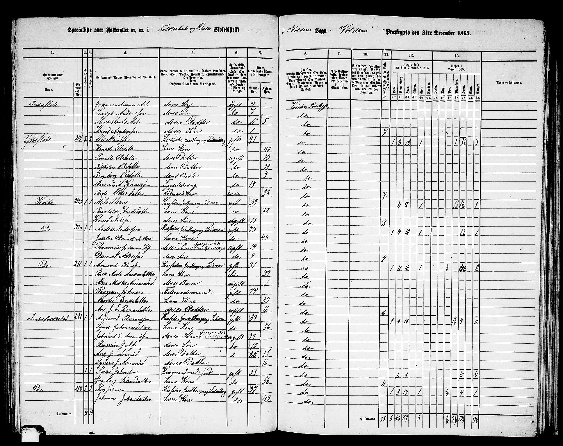 RA, 1865 census for Volda, 1865, p. 123