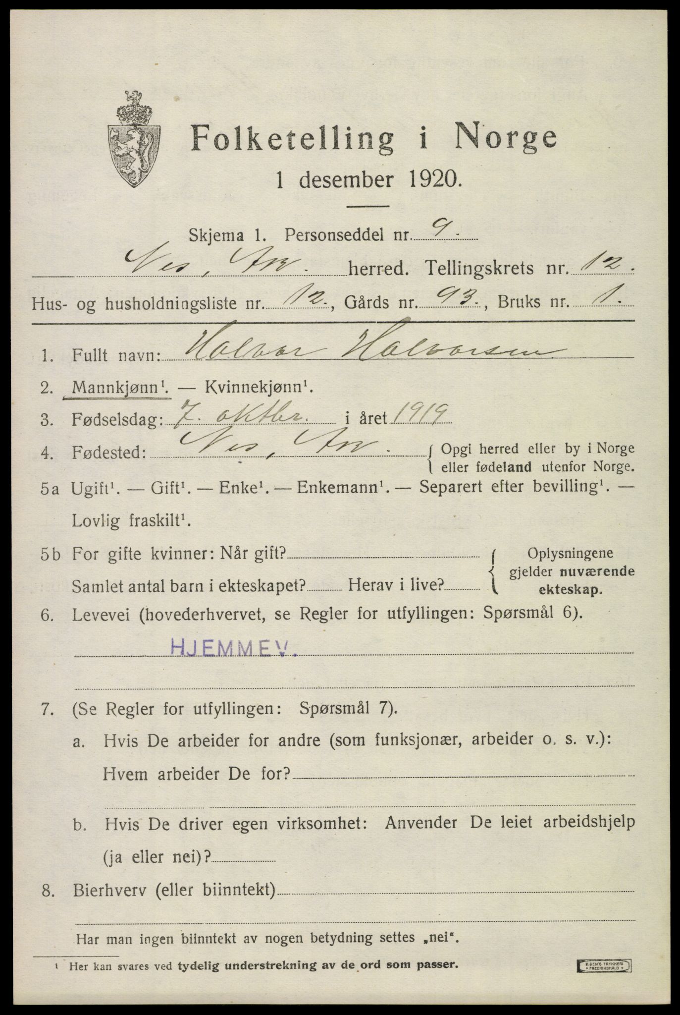 SAO, 1920 census for Nes, 1920, p. 12376