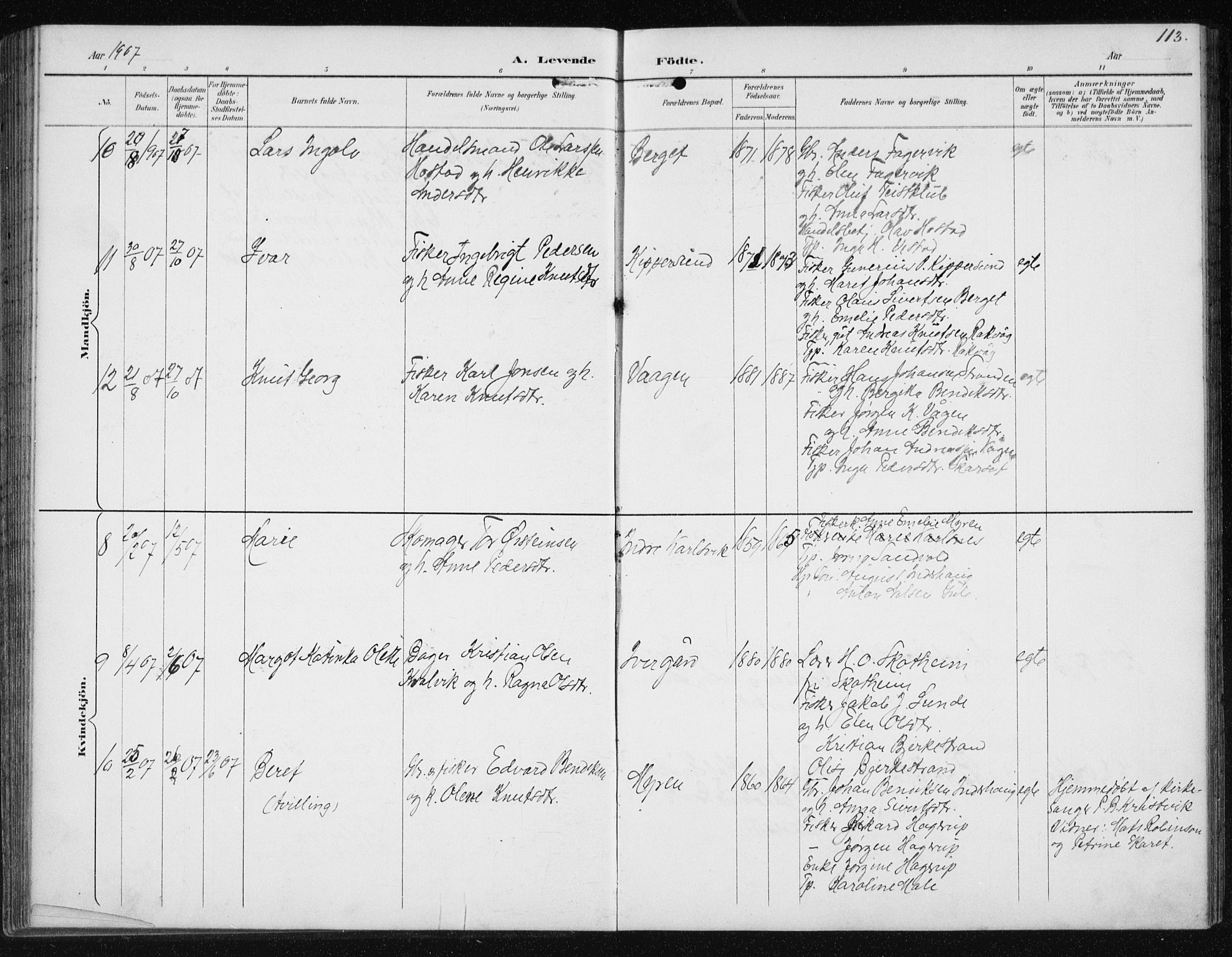 Ministerialprotokoller, klokkerbøker og fødselsregistre - Møre og Romsdal, AV/SAT-A-1454/566/L0773: Parish register (copy) no. 566C02, 1892-1909, p. 113