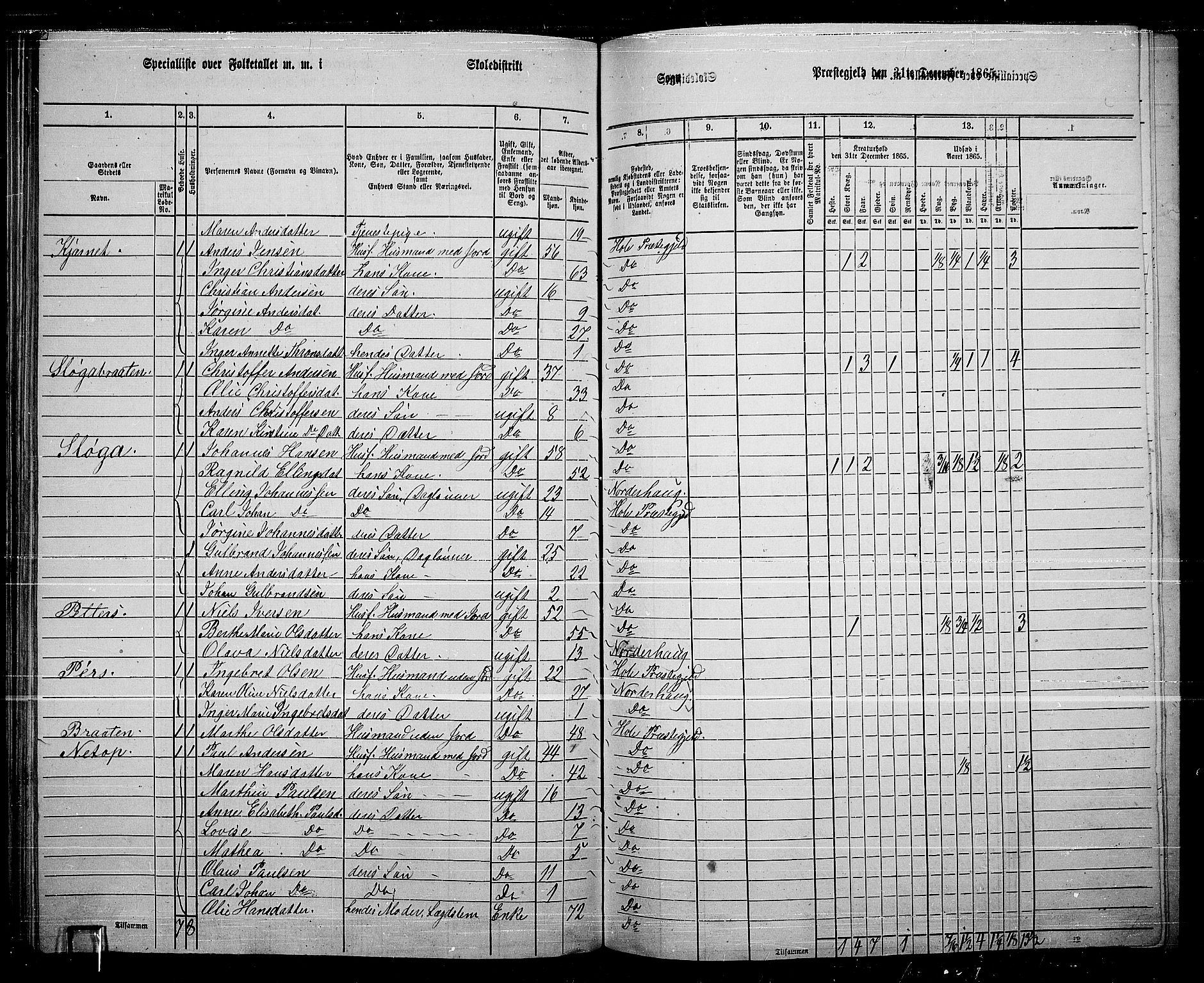 RA, 1865 census for Hole, 1865, p. 115