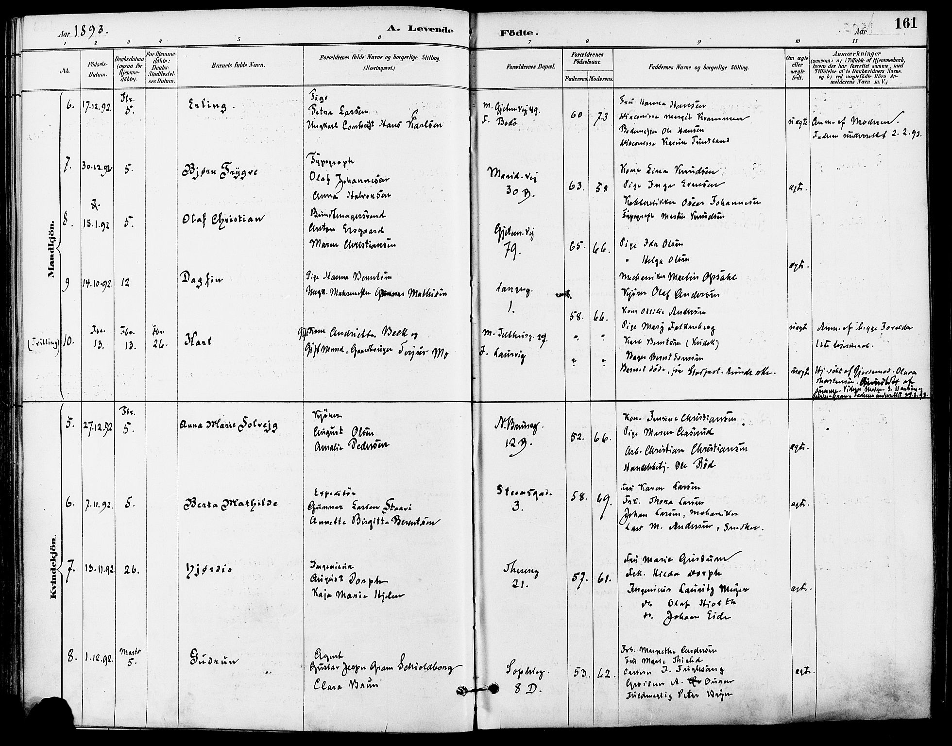 Gamle Aker prestekontor Kirkebøker, AV/SAO-A-10617a/F/L0008: Parish register (official) no. 8, 1887-1896, p. 161