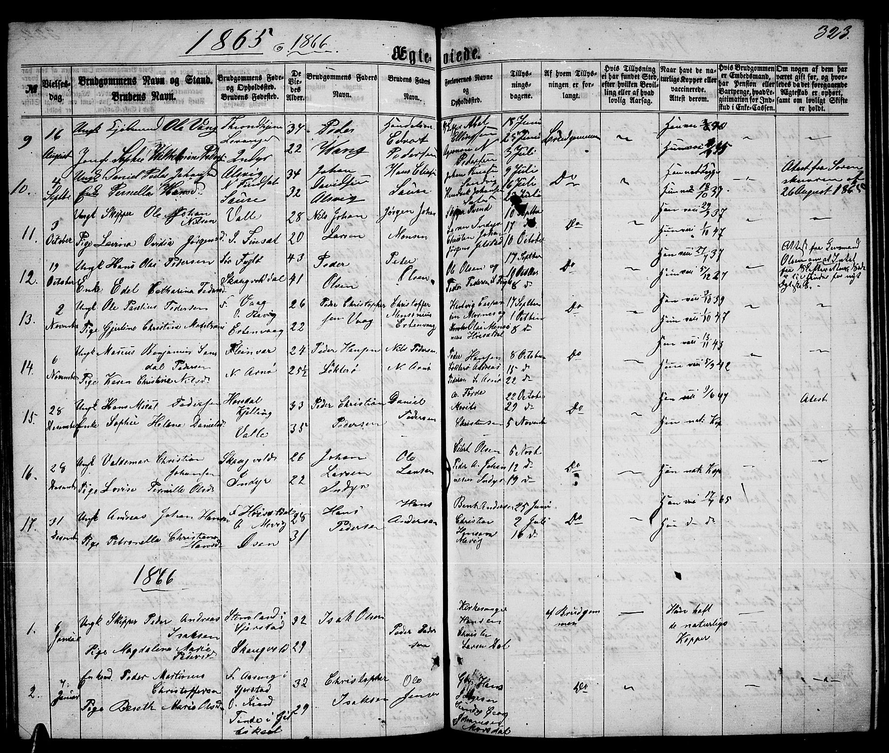 Ministerialprotokoller, klokkerbøker og fødselsregistre - Nordland, AV/SAT-A-1459/805/L0107: Parish register (copy) no. 805C03, 1862-1885, p. 323