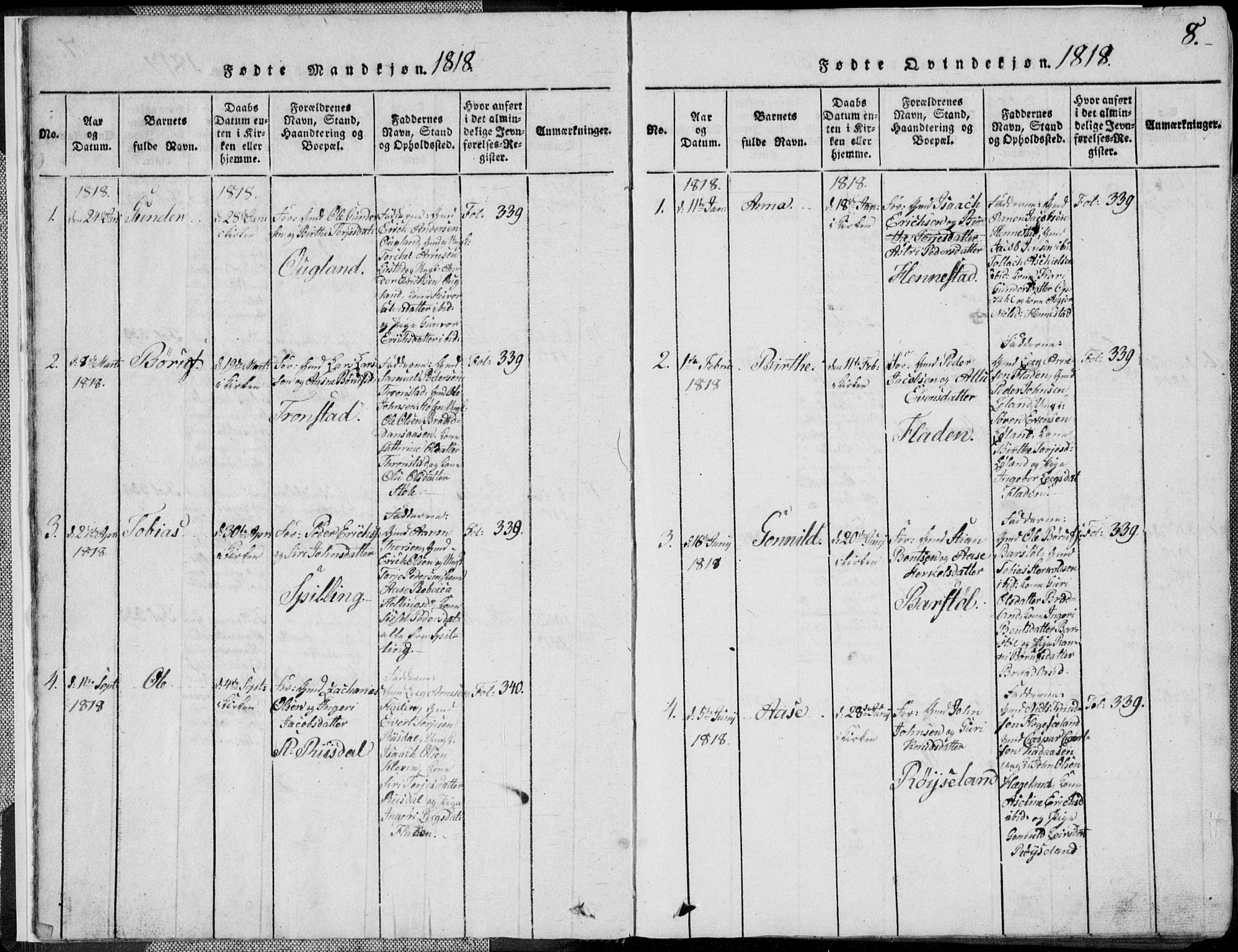 Nord-Audnedal sokneprestkontor, AV/SAK-1111-0032/F/Fb/Fbb/L0001: Parish register (copy) no. B 1, 1816-1858, p. 8