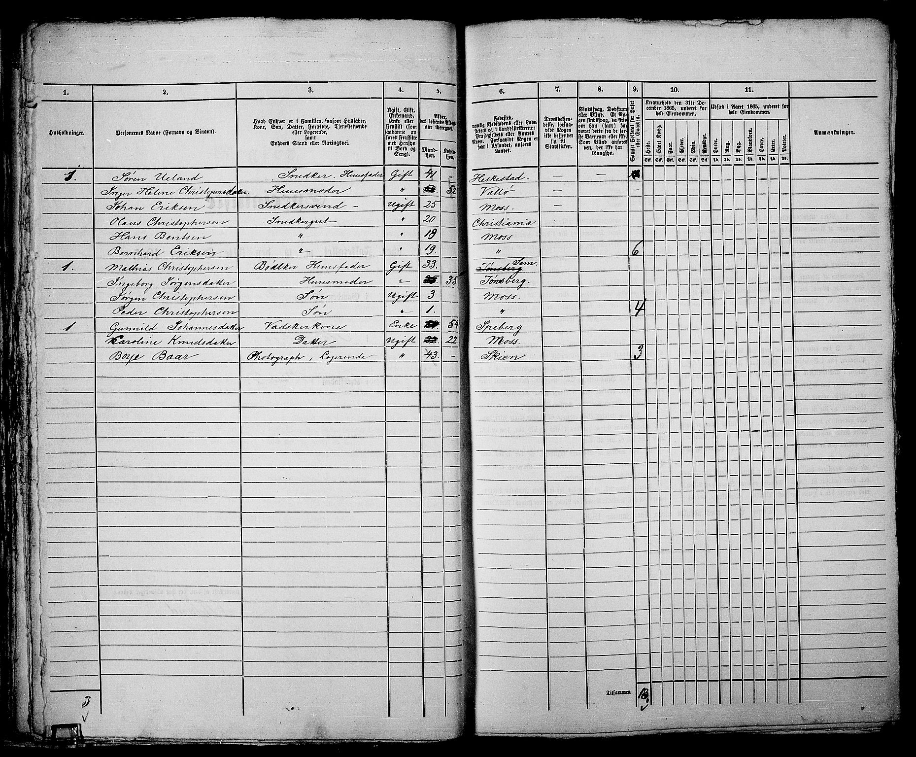 RA, 1865 census for Moss/Moss, 1865, p. 49