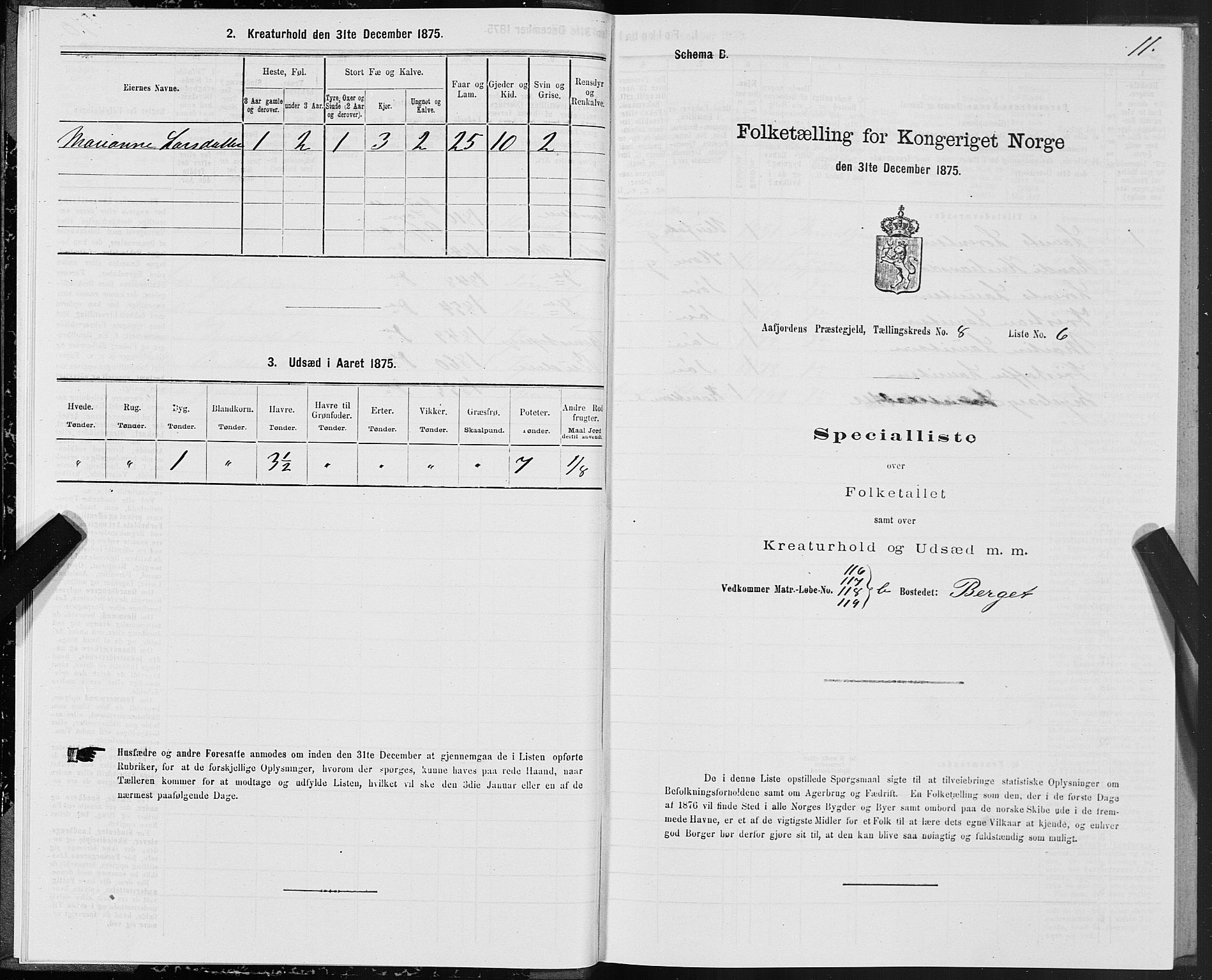 SAT, 1875 census for 1630P Aafjorden, 1875, p. 4011