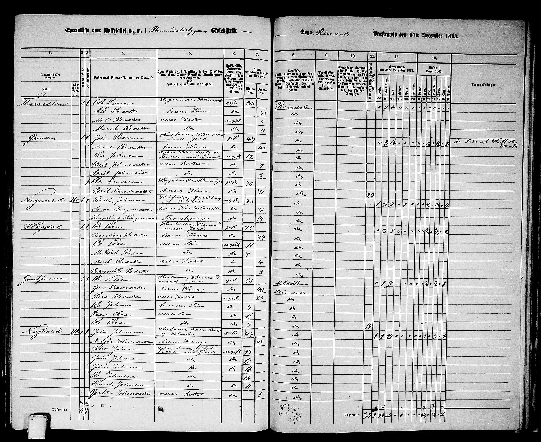 RA, 1865 census for Rindal, 1865, p. 79