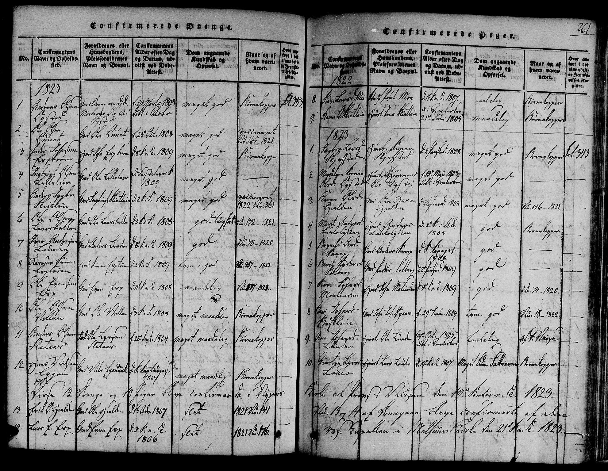 Ministerialprotokoller, klokkerbøker og fødselsregistre - Sør-Trøndelag, SAT/A-1456/691/L1067: Parish register (official) no. 691A03 /3, 1816-1826, p. 261