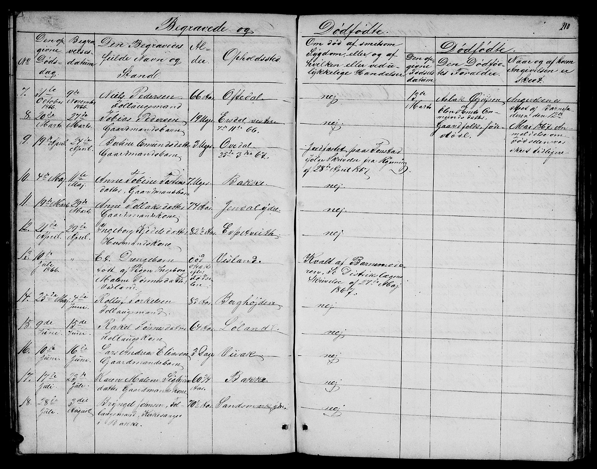 Bakke sokneprestkontor, AV/SAK-1111-0002/F/Fb/Fba/L0001: Parish register (copy) no. B 1, 1849-1879, p. 210