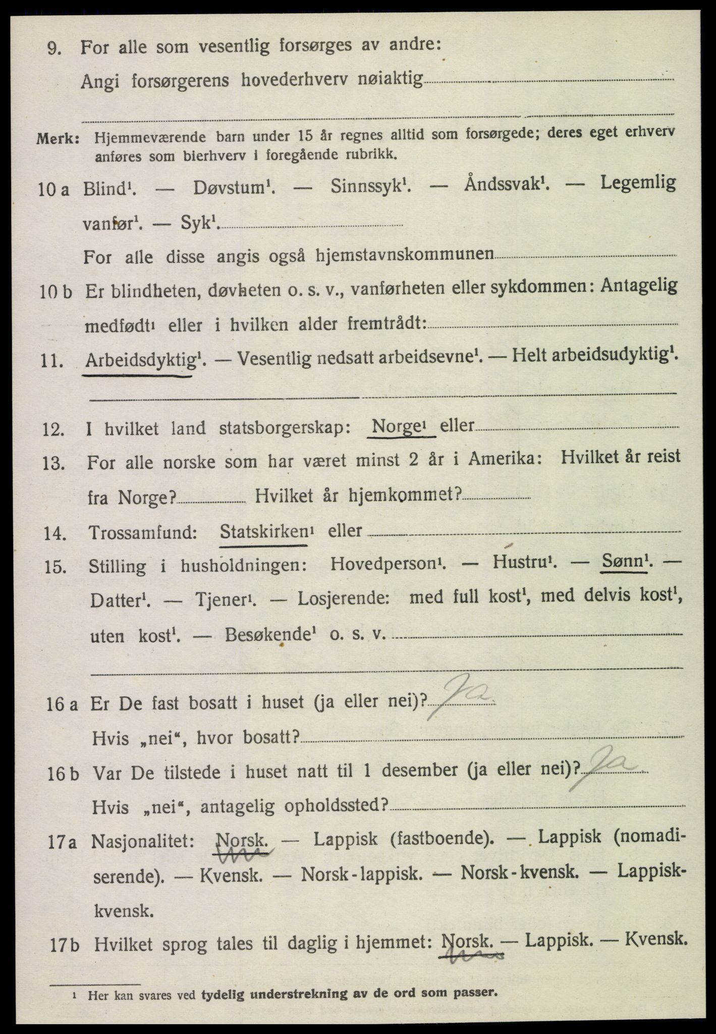 SAT, 1920 census for Selbu, 1920, p. 10211