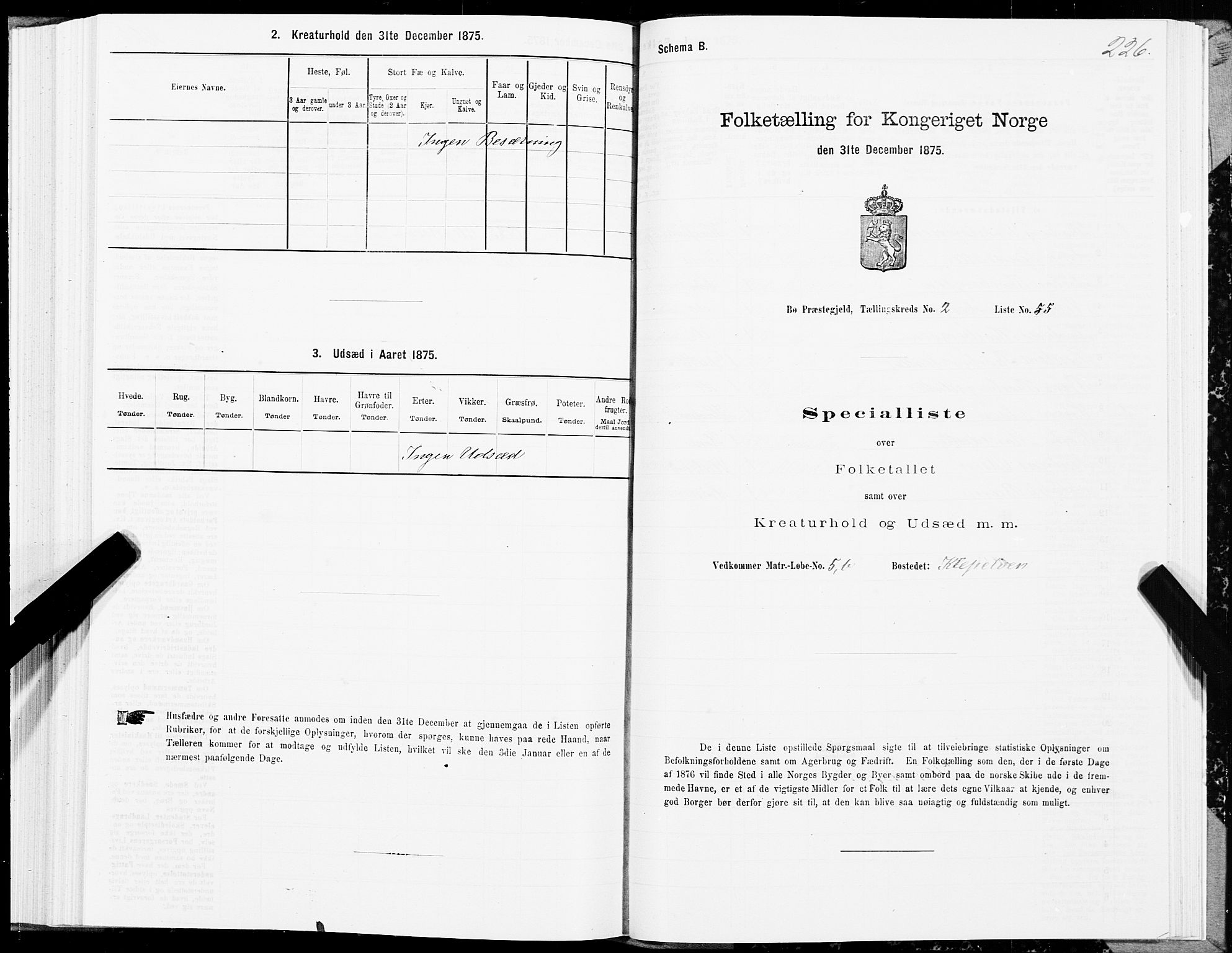 SAT, 1875 census for 1867P Bø, 1875, p. 1226