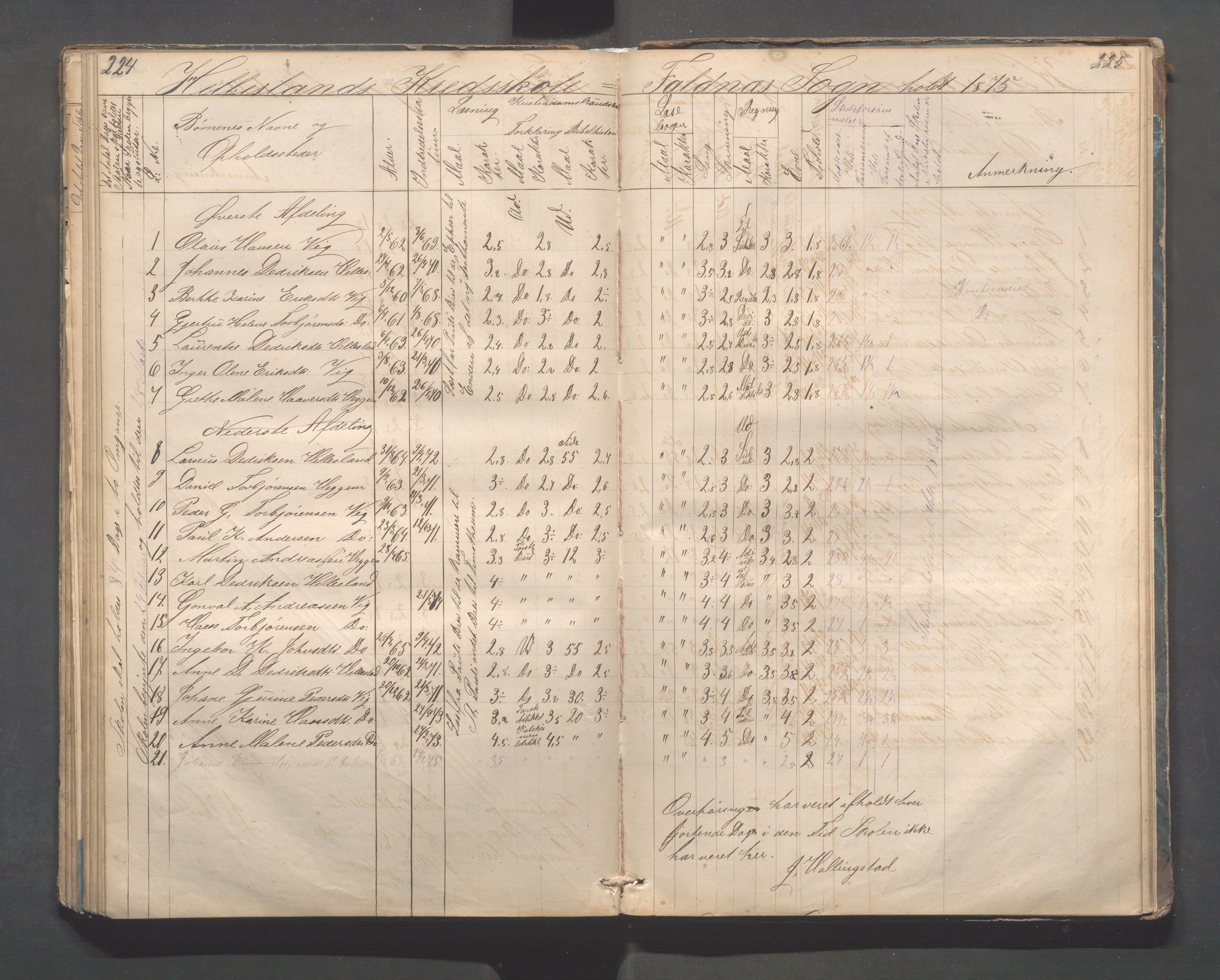 Skudenes kommune - Dale - Hillesland - Snørteland skolekretser, IKAR/A-306/H/L0002: Dale - Hillesland - Snørteland, 1869-1882, p. 224-225