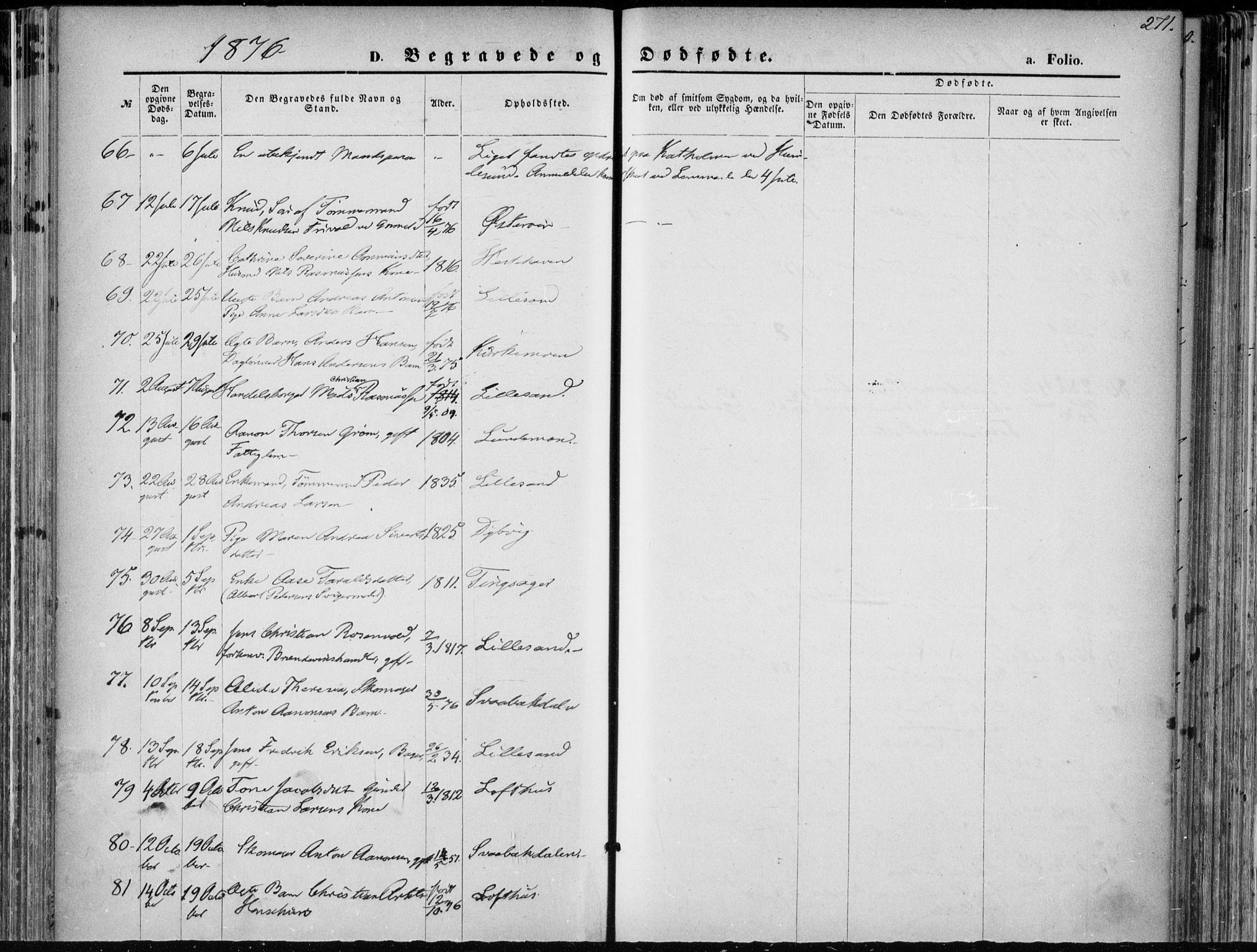 Vestre Moland sokneprestkontor, AV/SAK-1111-0046/F/Fa/Fab/L0008: Parish register (official) no. A 8, 1873-1883, p. 271