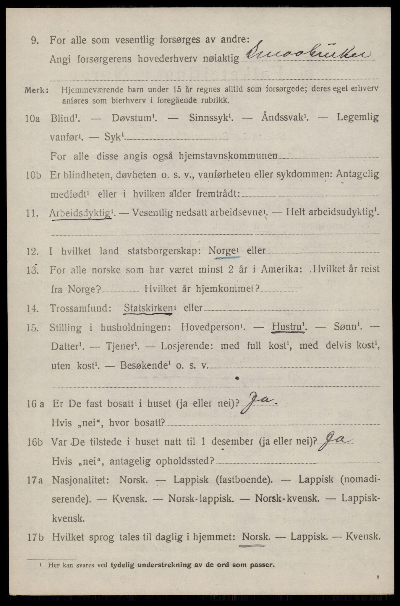 SAT, 1920 census for Dverberg, 1920, p. 11965