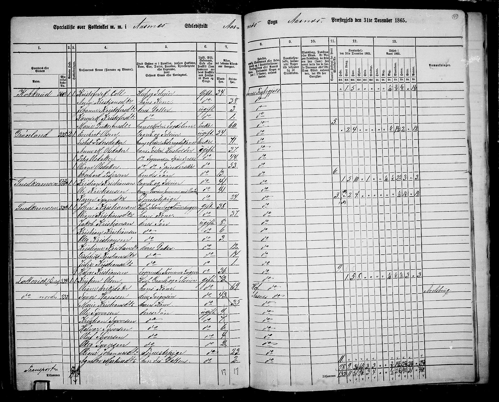 RA, 1865 census for Åsnes, 1865, p. 172