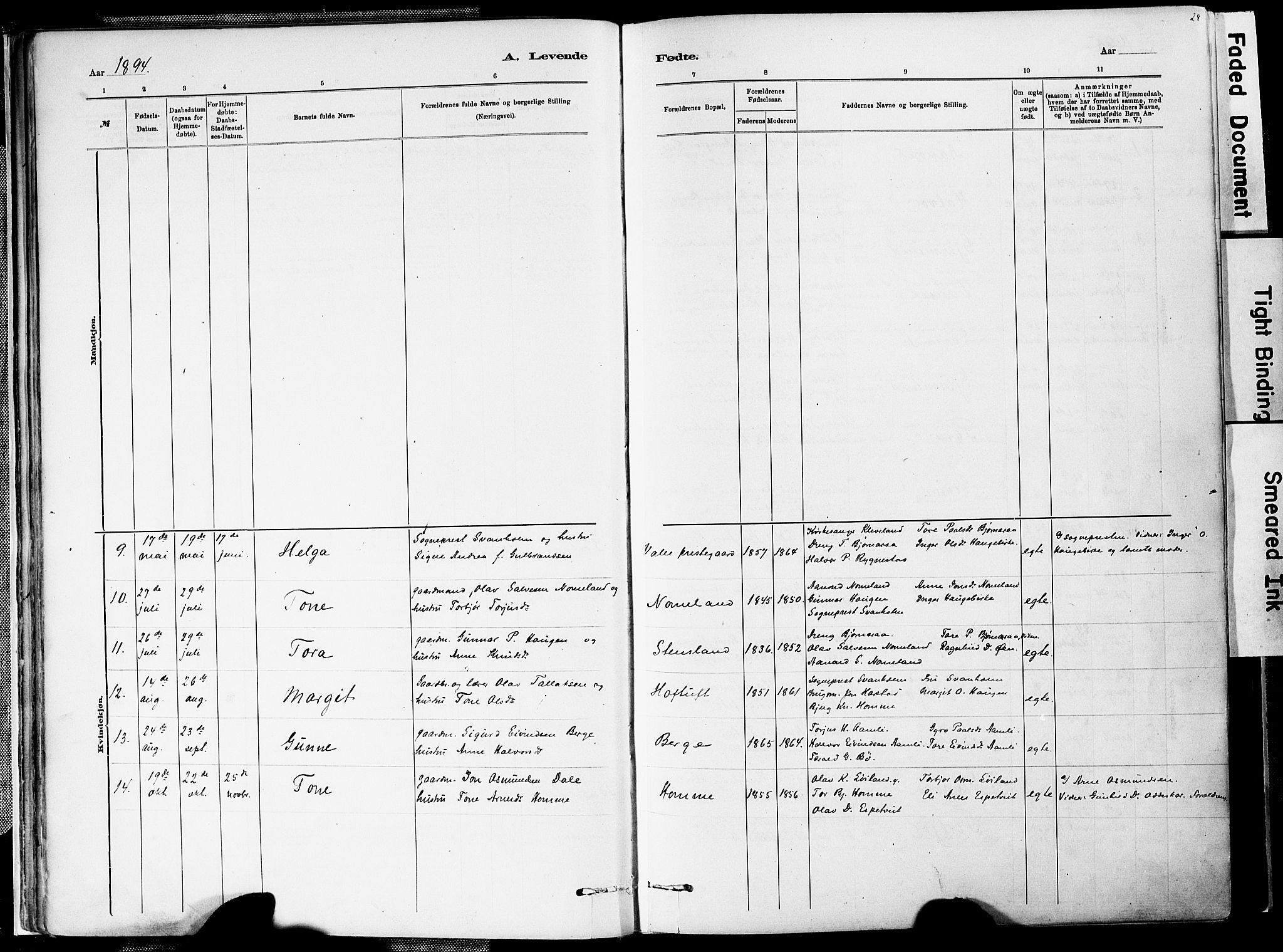 Valle sokneprestkontor, AV/SAK-1111-0044/F/Fa/Fac/L0009: Parish register (official) no. A 9, 1882-1913, p. 28