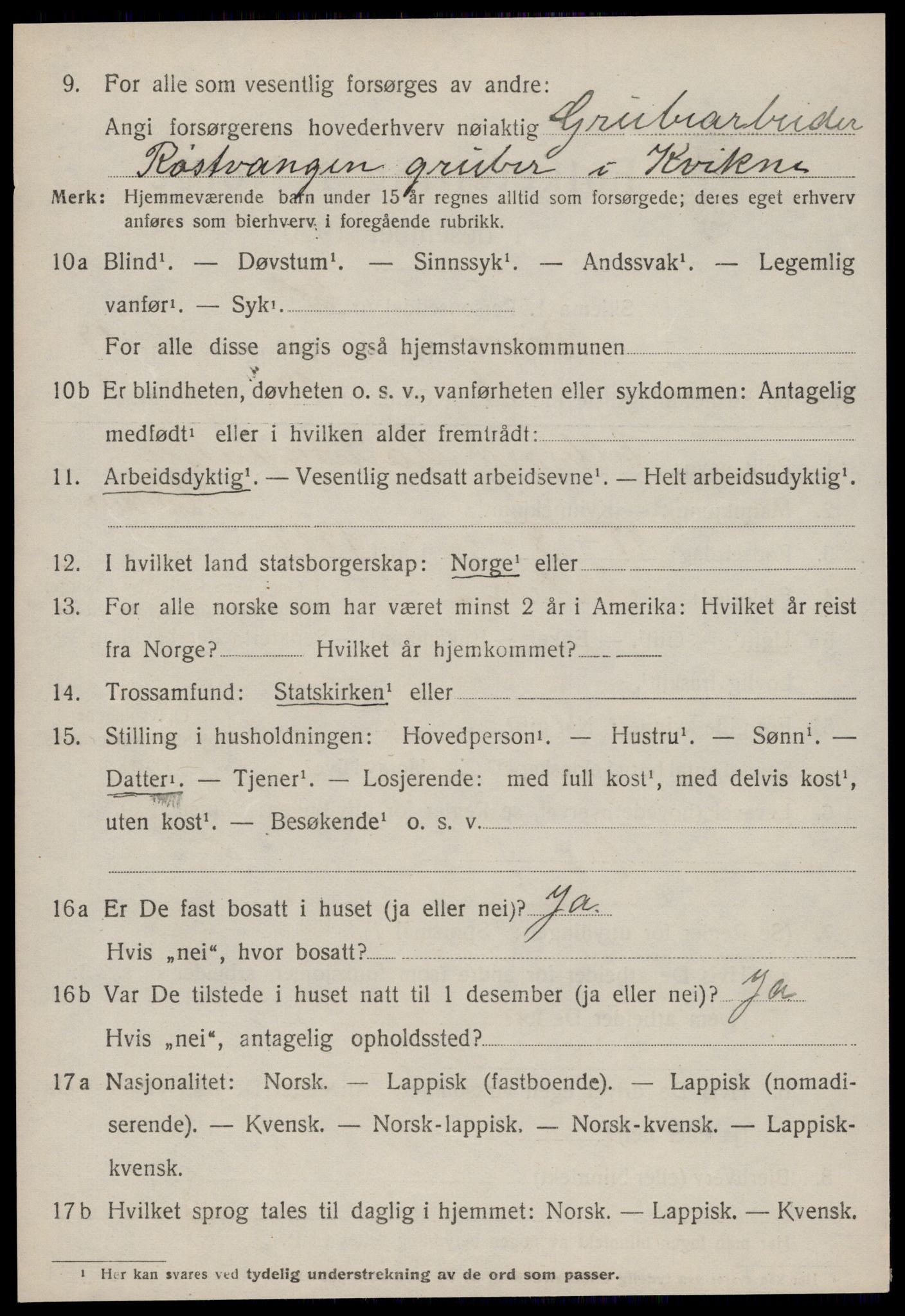 SAT, 1920 census for Røros, 1920, p. 12239