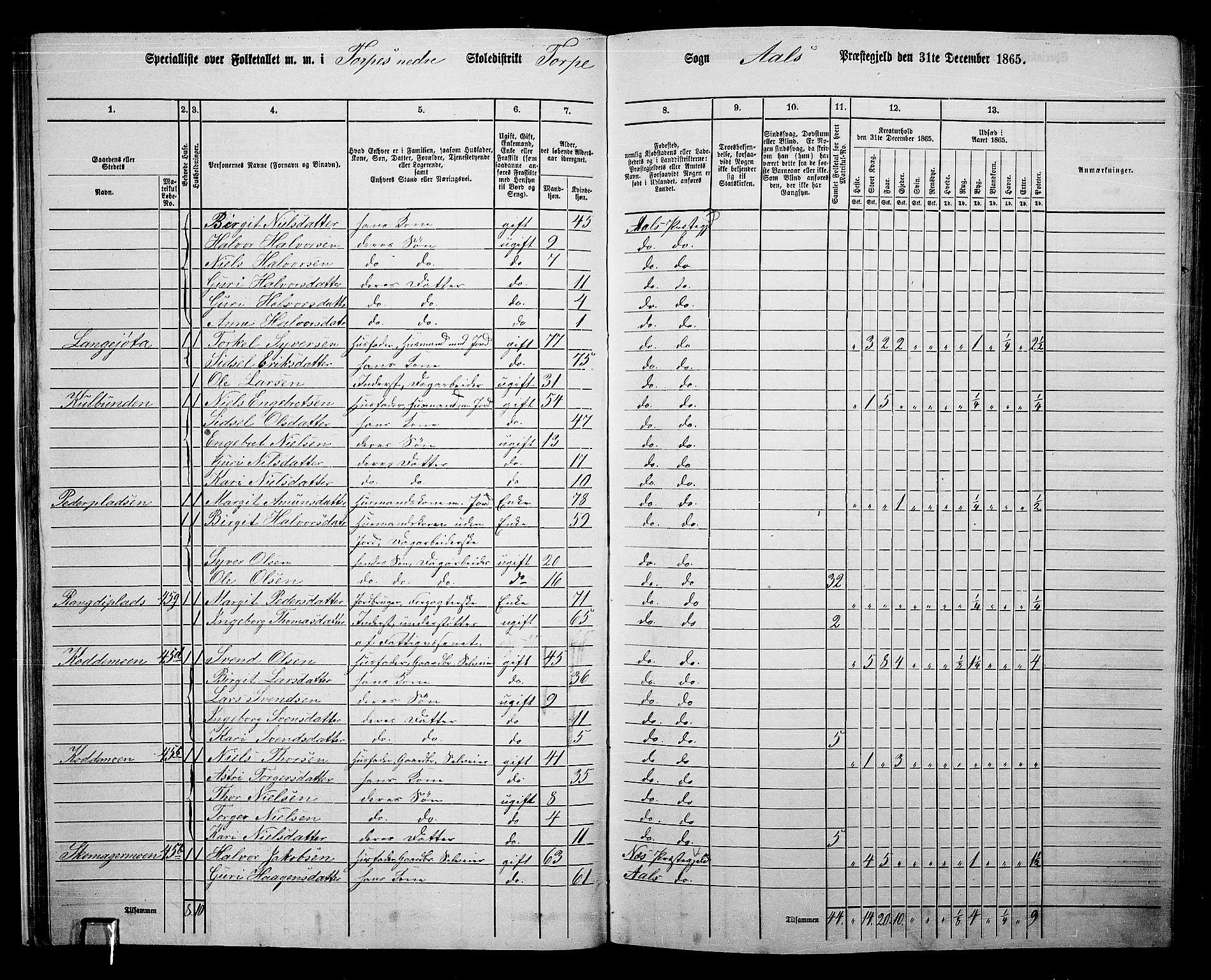 RA, 1865 census for Ål, 1865, p. 38