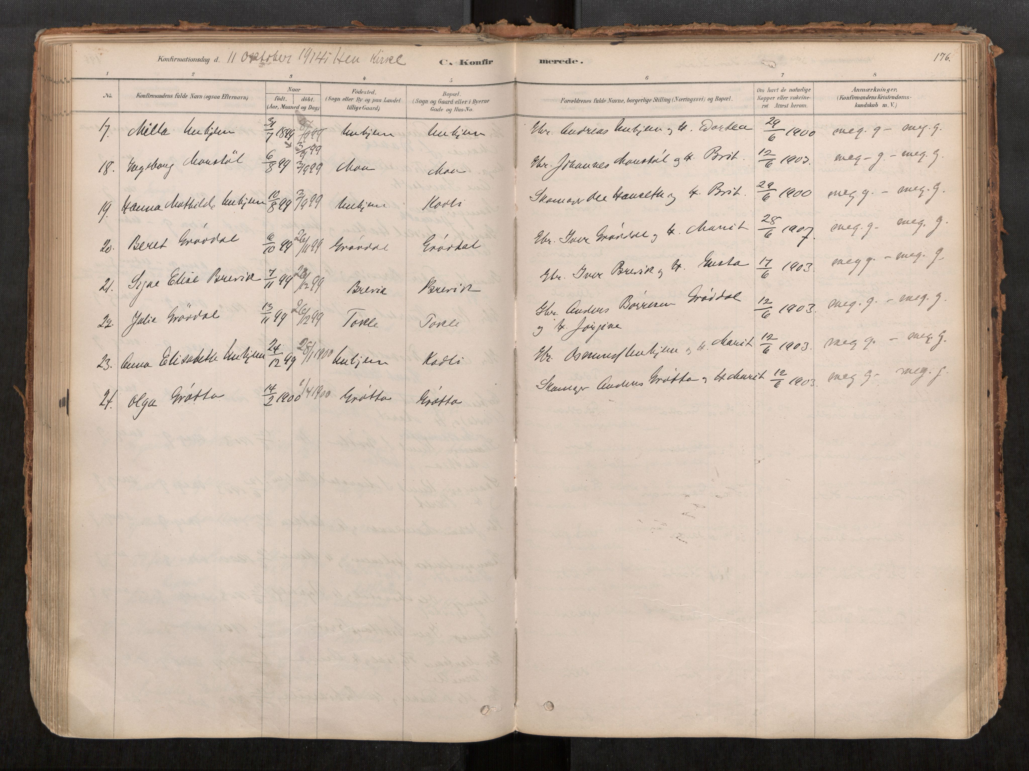 Ministerialprotokoller, klokkerbøker og fødselsregistre - Møre og Romsdal, AV/SAT-A-1454/545/L0594: Parish register (official) no. 545A03, 1878-1920, p. 176