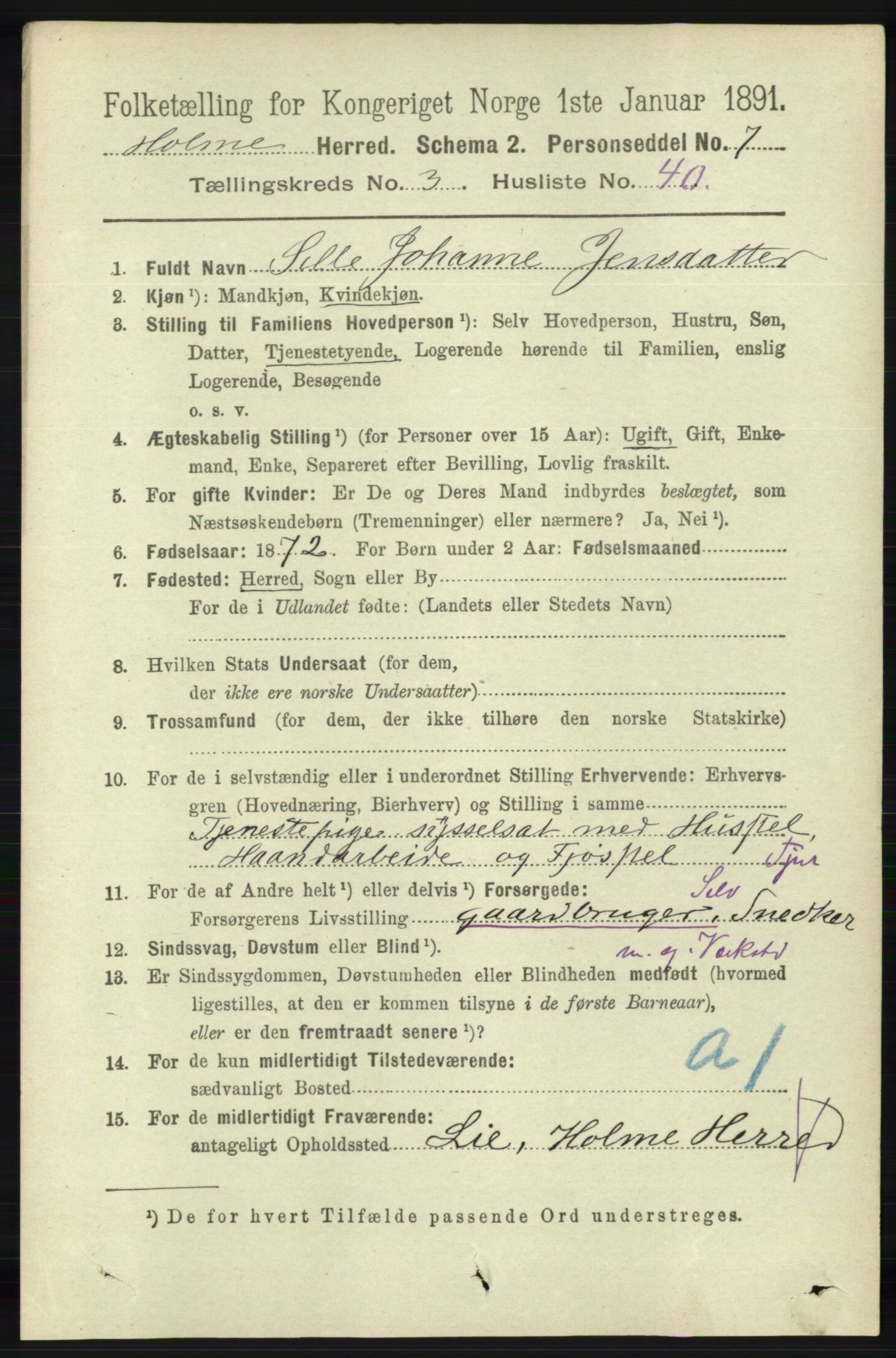 RA, 1891 census for 1020 Holum, 1891, p. 995