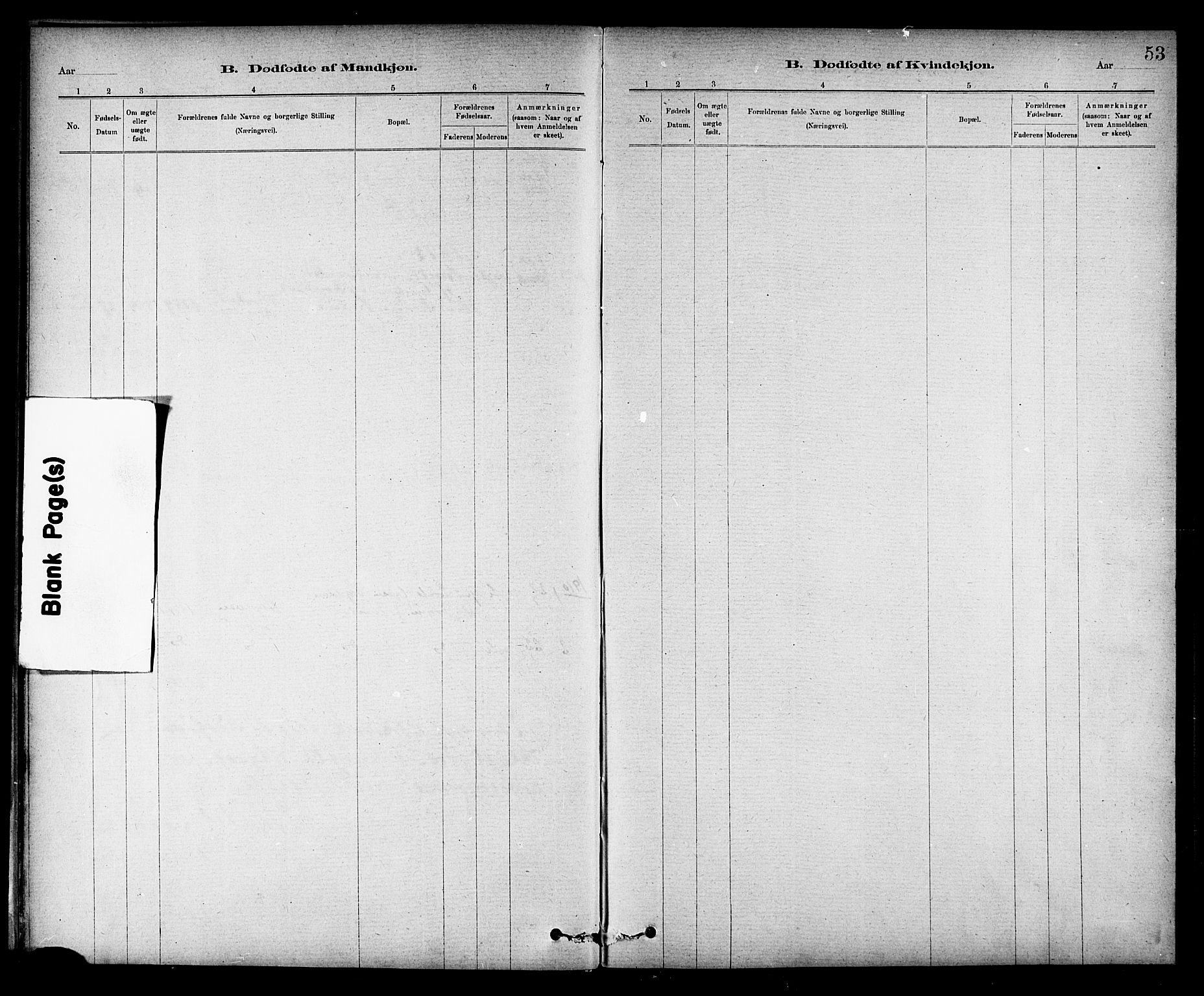 Ministerialprotokoller, klokkerbøker og fødselsregistre - Nord-Trøndelag, SAT/A-1458/732/L0318: Parish register (copy) no. 732C02, 1881-1911, p. 53