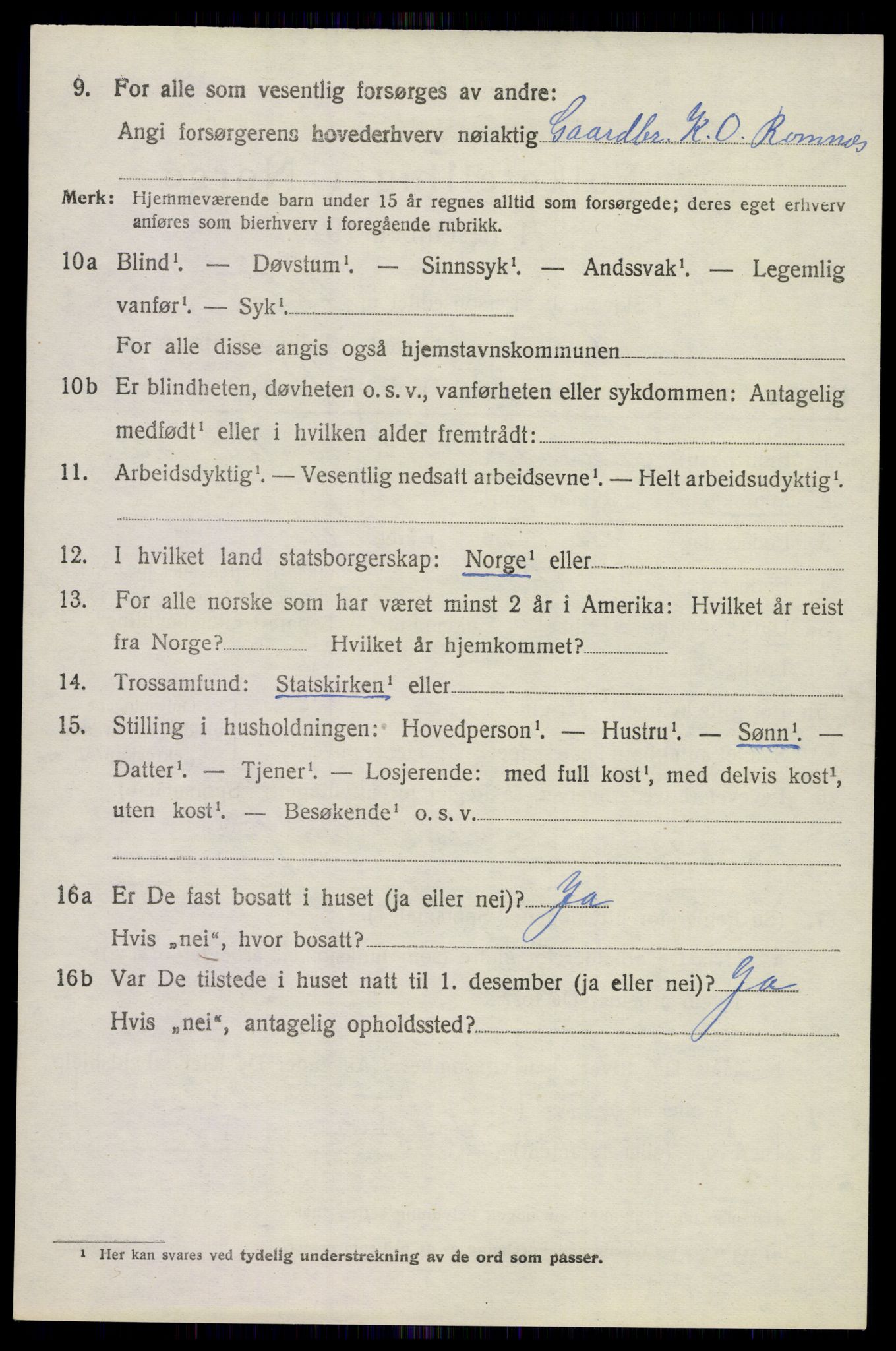 SAKO, 1920 census for Holla, 1920, p. 4754