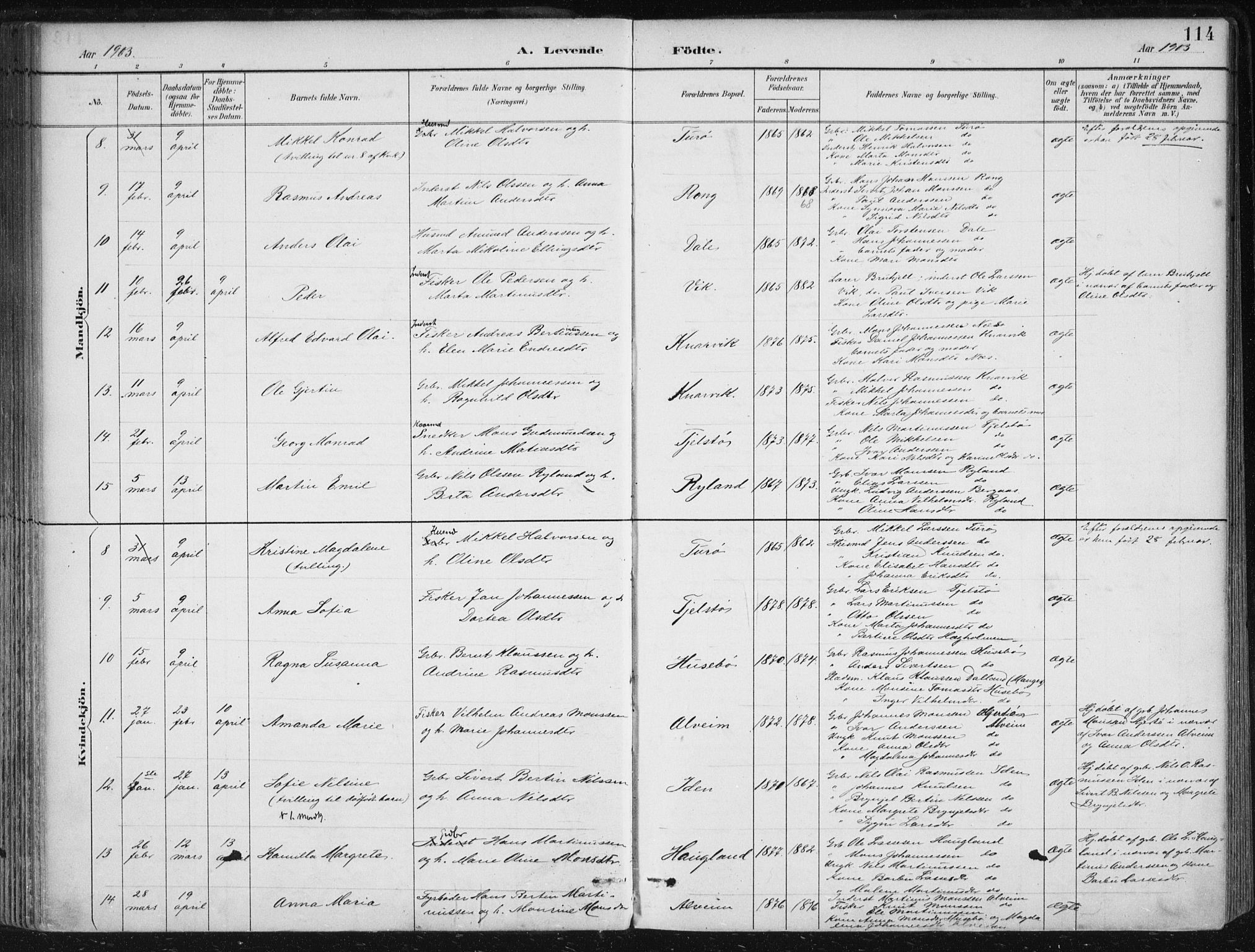 Herdla Sokneprestembete, SAB/A-75701/H/Haa: Parish register (official) no. A 4, 1891-1905, p. 114