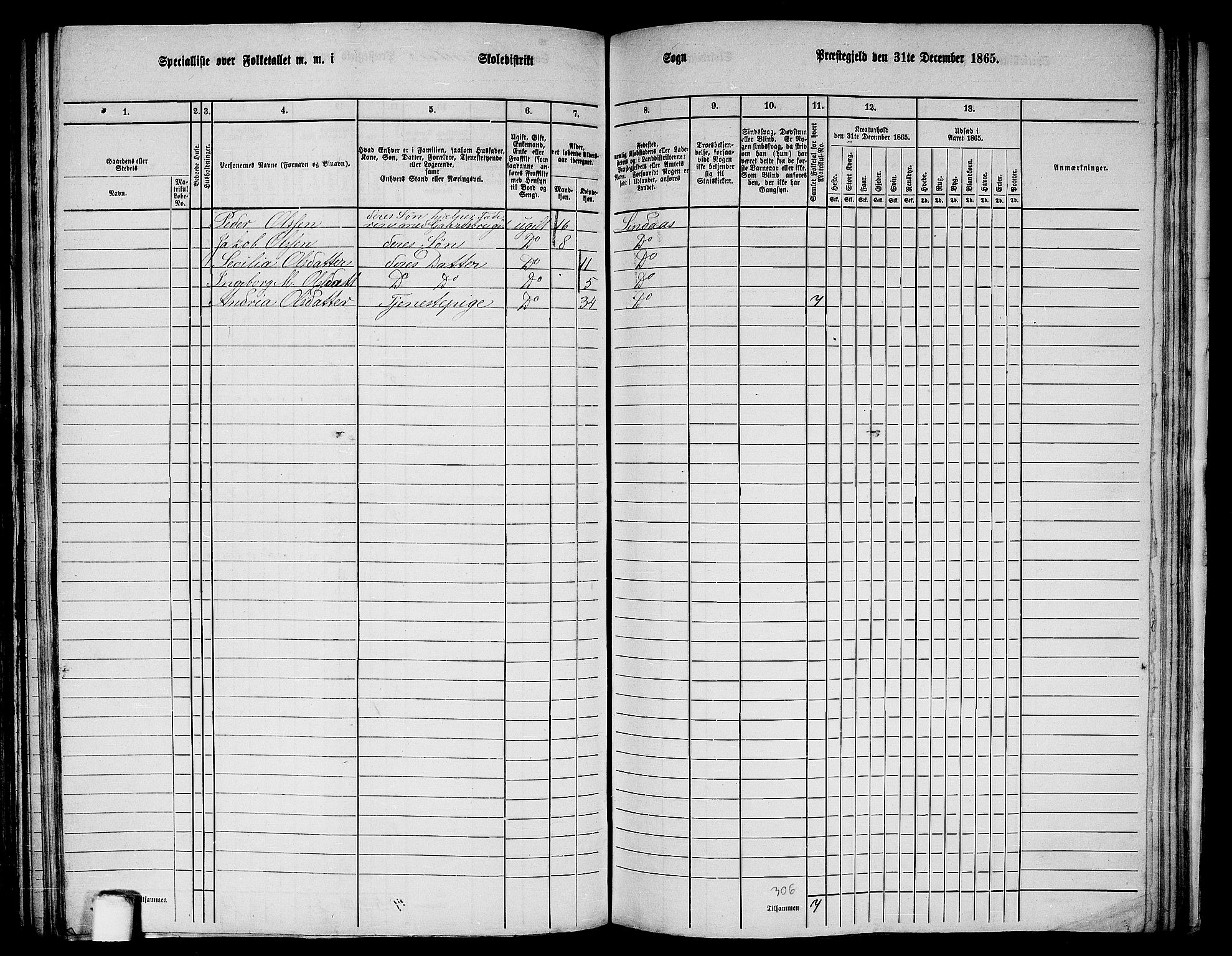 RA, 1865 census for Lindås, 1865, p. 165