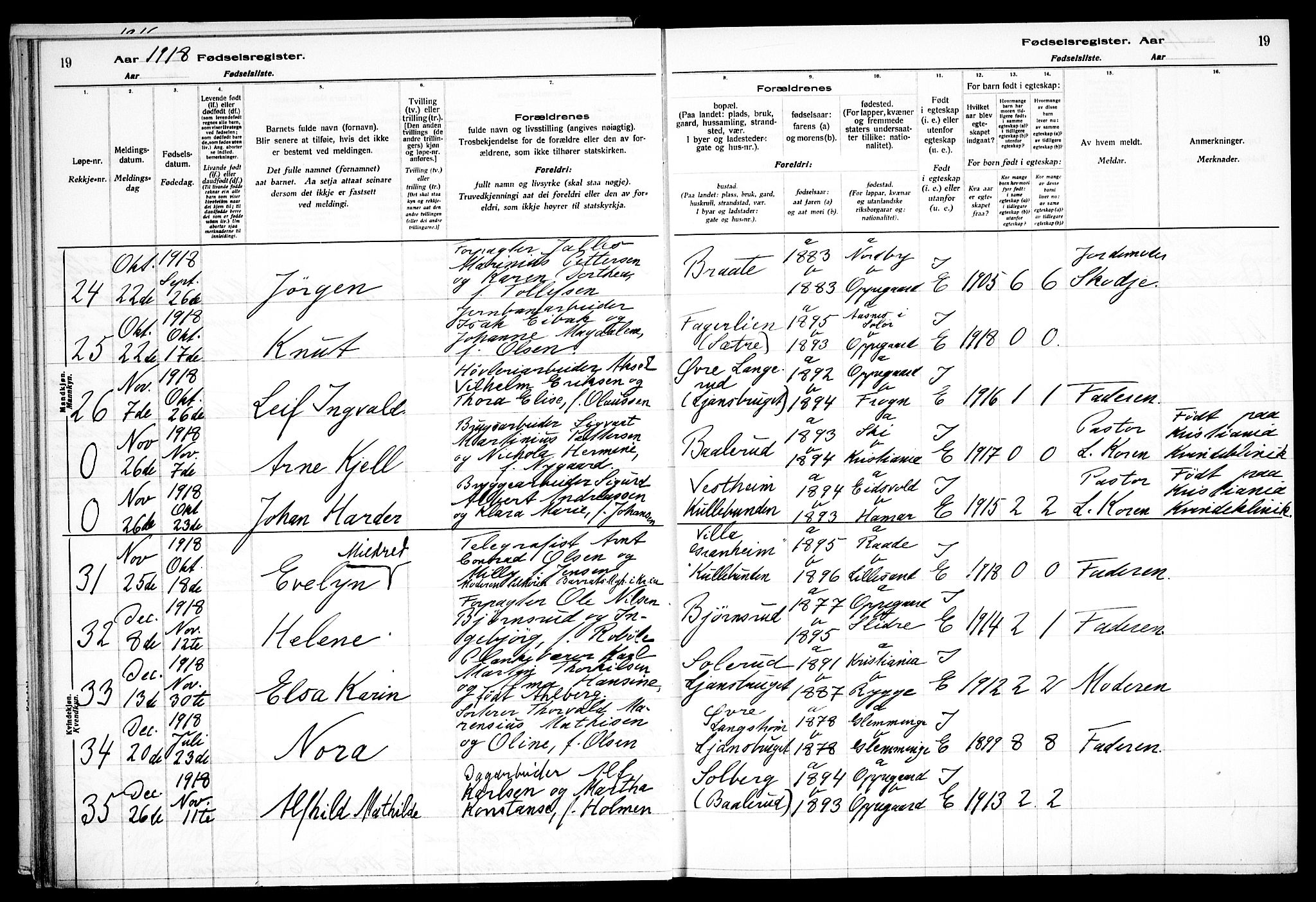 Nesodden prestekontor Kirkebøker, AV/SAO-A-10013/J/Jb/L0001: Birth register no. II 1, 1916-1933, p. 19