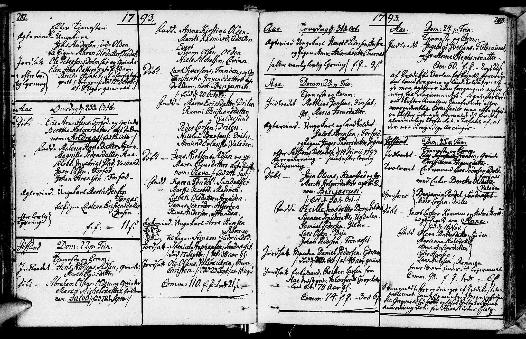 Ministerialprotokoller, klokkerbøker og fødselsregistre - Sør-Trøndelag, SAT/A-1456/655/L0673: Parish register (official) no. 655A02, 1780-1801, p. 202-203