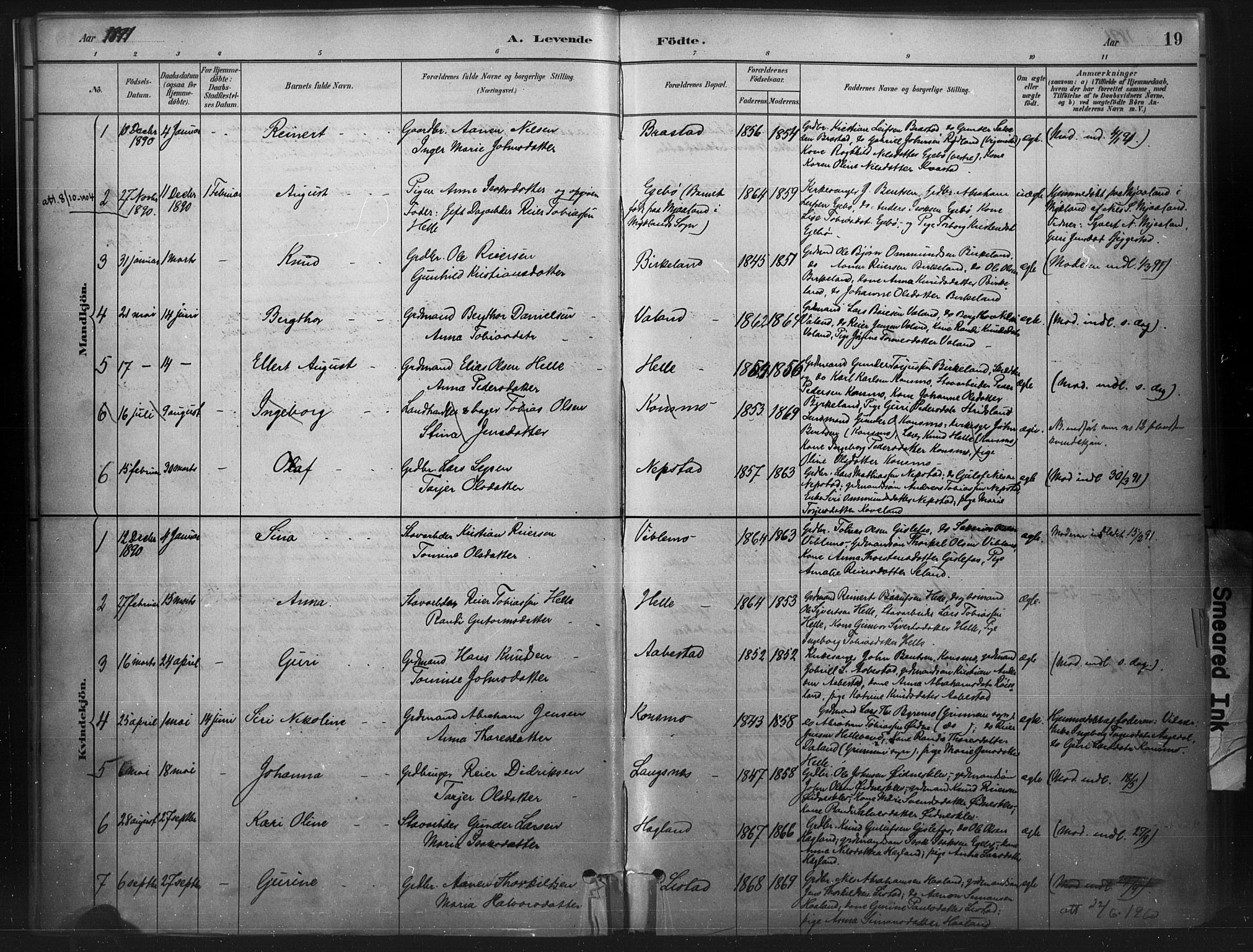 Nord-Audnedal sokneprestkontor, SAK/1111-0032/F/Fa/Faa/L0003: Parish register (official) no. A 3, 1882-1900, p. 19
