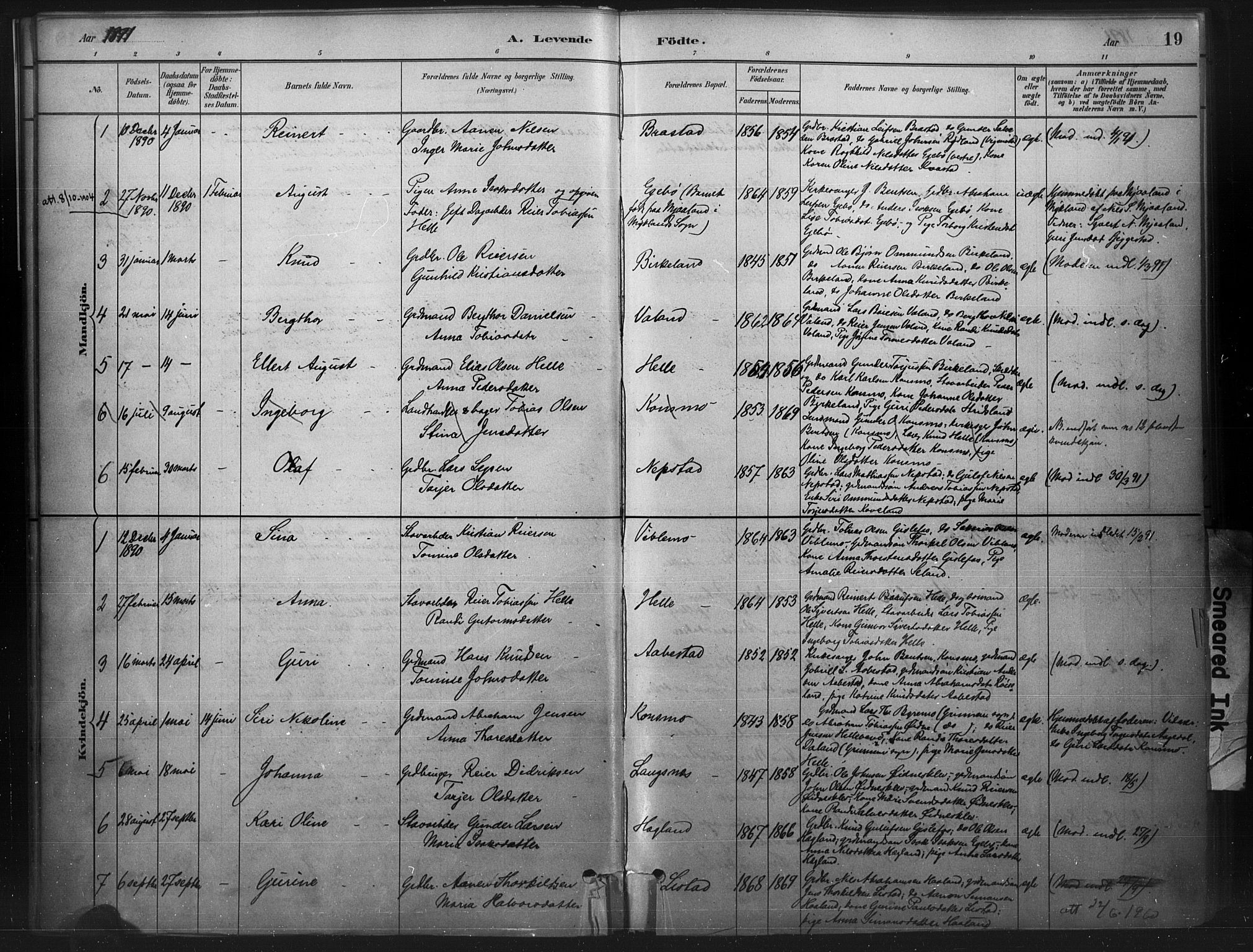 Nord-Audnedal sokneprestkontor, AV/SAK-1111-0032/F/Fa/Faa/L0003: Parish register (official) no. A 3, 1882-1900, p. 19