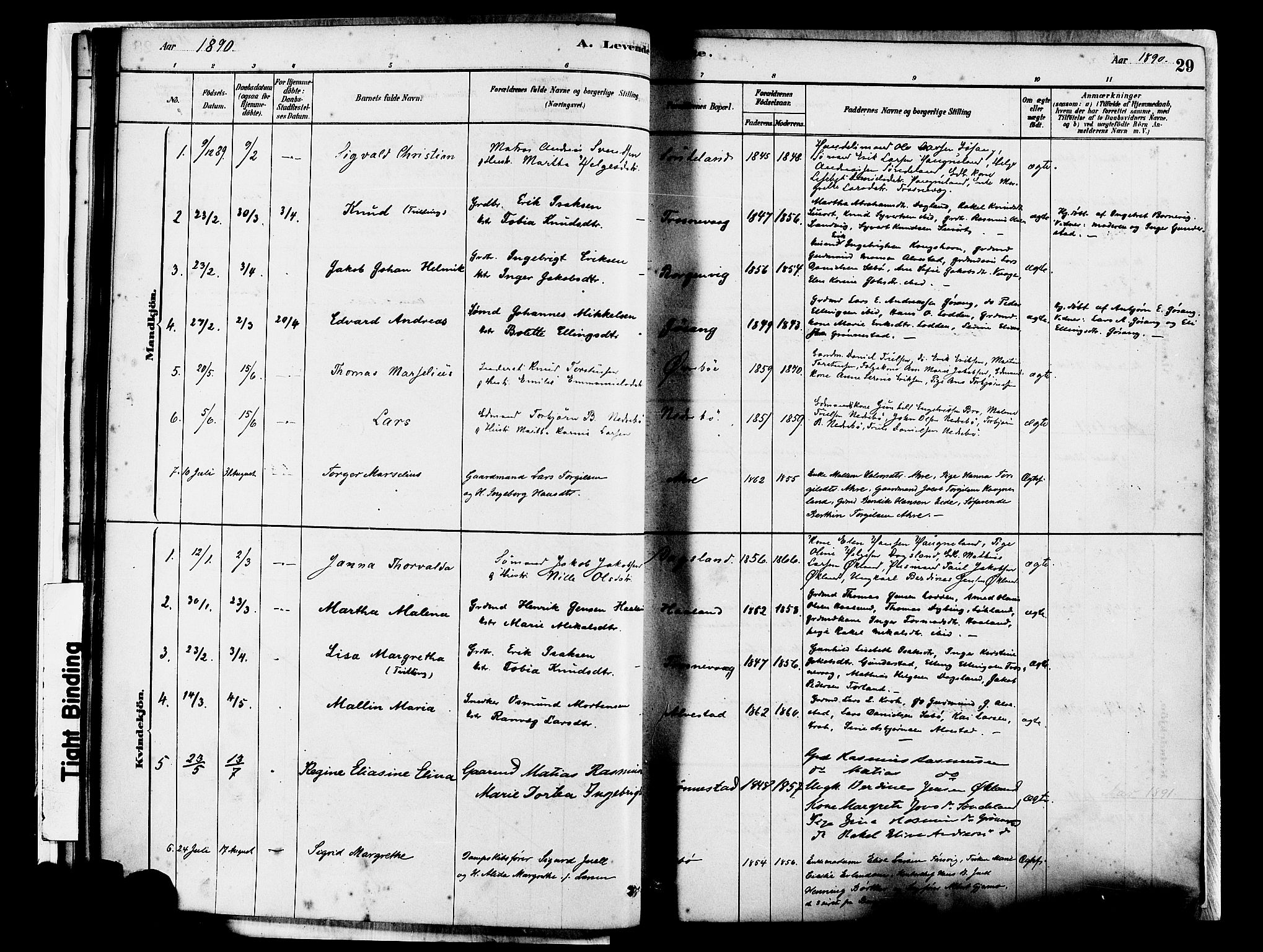 Tysvær sokneprestkontor, SAST/A -101864/H/Ha/Haa/L0007: Parish register (official) no. A 7, 1878-1897, p. 29