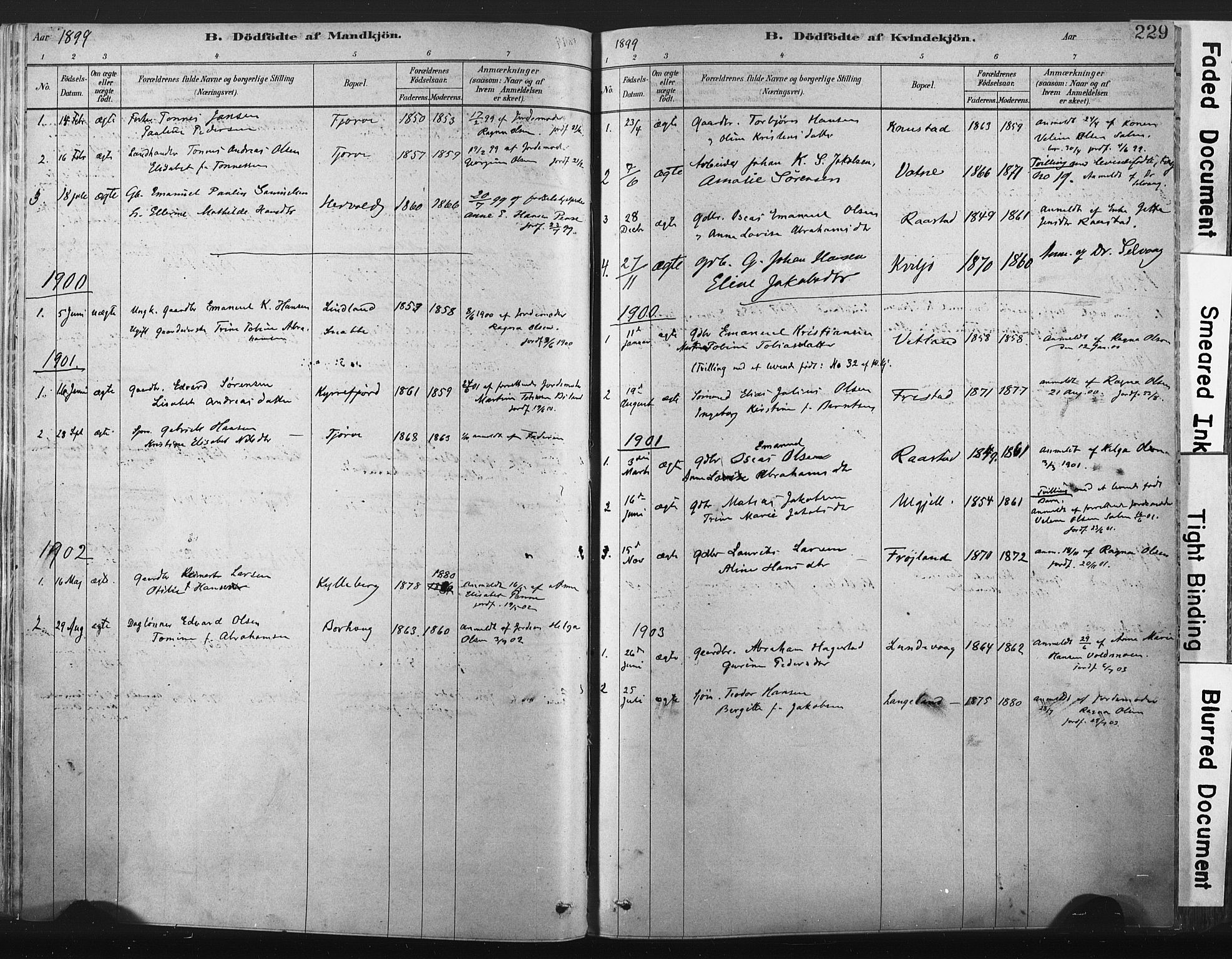 Lista sokneprestkontor, SAK/1111-0027/F/Fa/L0012: Parish register (official) no. A 12, 1879-1903, p. 229