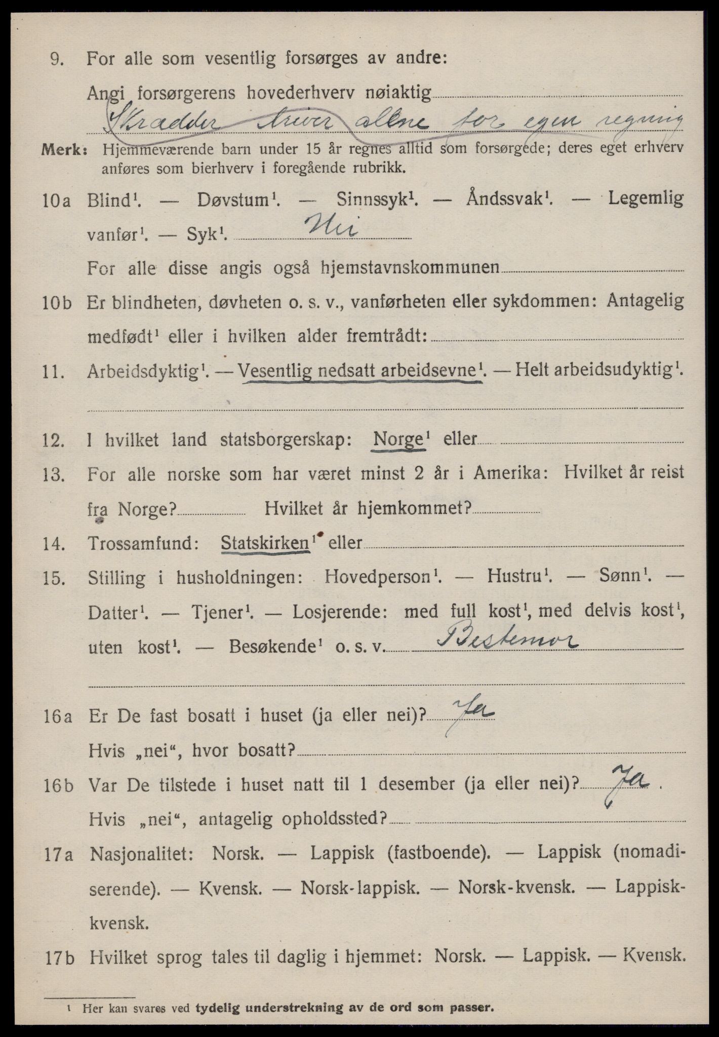 SAT, 1920 census for Selbu, 1920, p. 8499