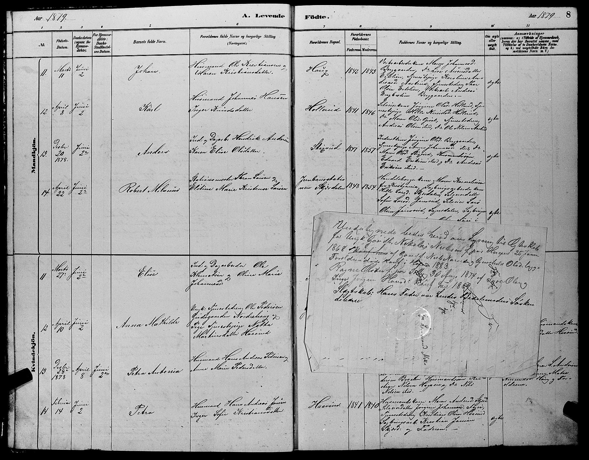 Hole kirkebøker, SAKO/A-228/G/Gb/L0002: Parish register (copy) no. II 2, 1878-1889, p. 8