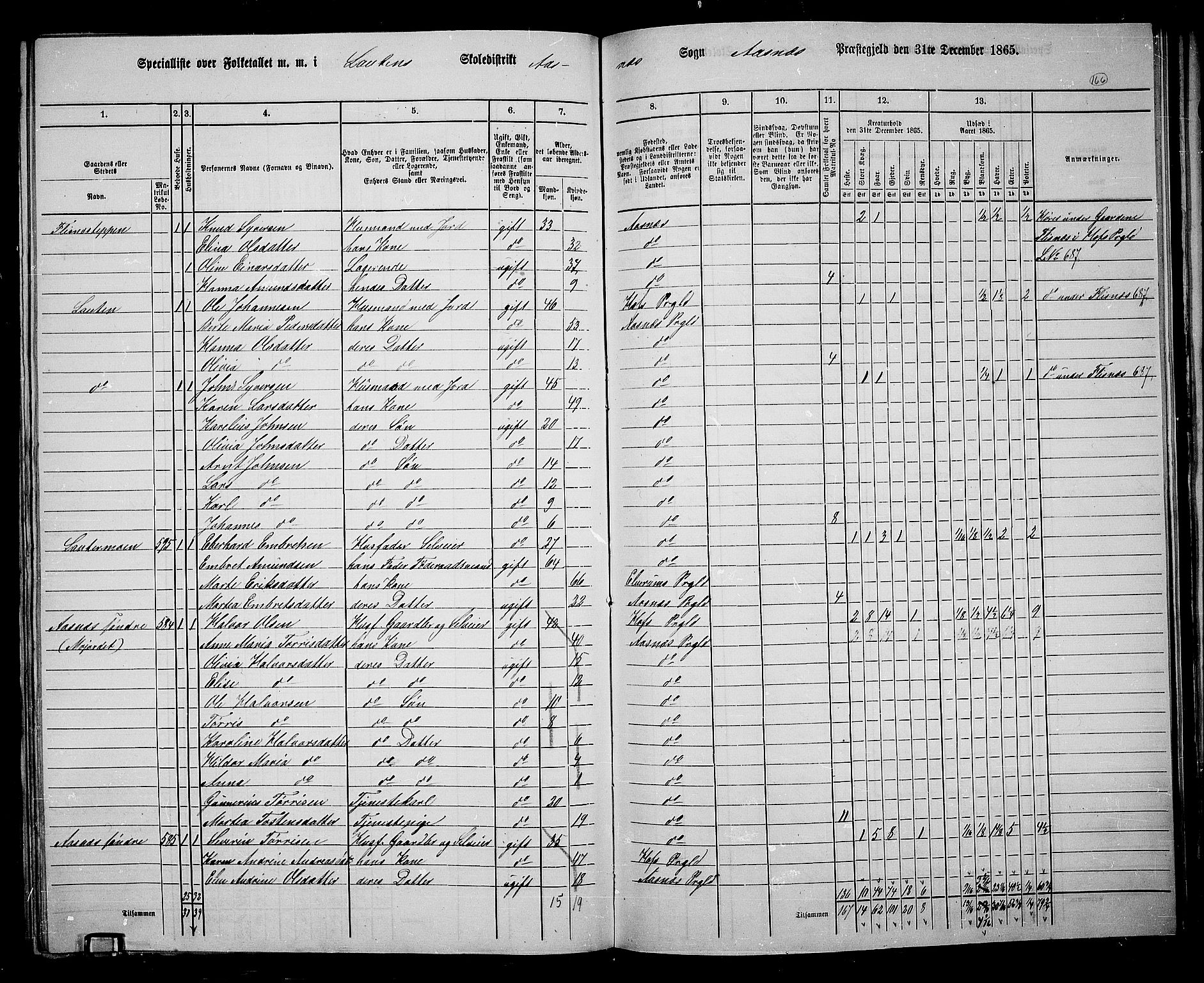 RA, 1865 census for Åsnes, 1865, p. 154