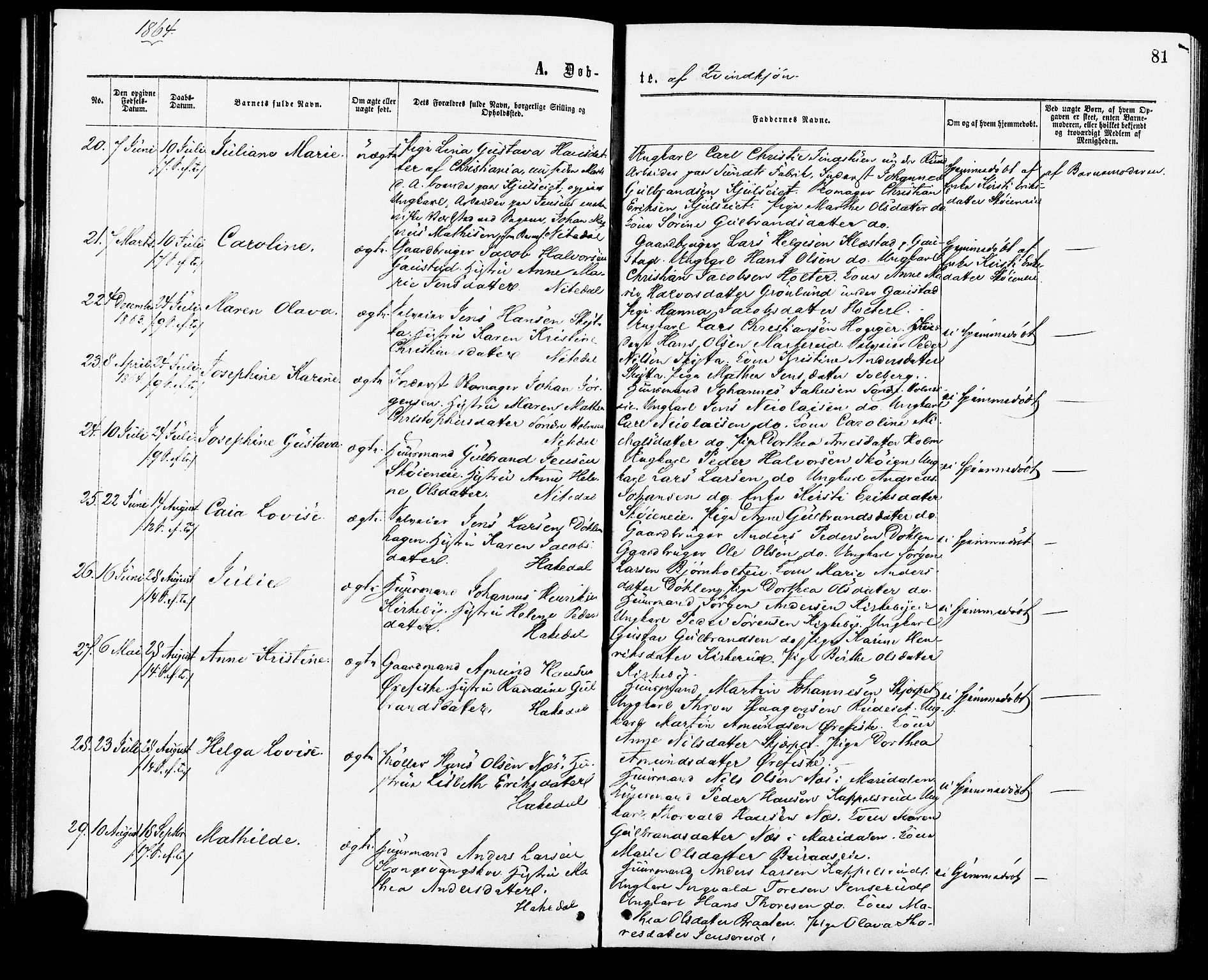 Nittedal prestekontor Kirkebøker, AV/SAO-A-10365a/F/Fa/L0006: Parish register (official) no. I 6, 1863-1878, p. 81