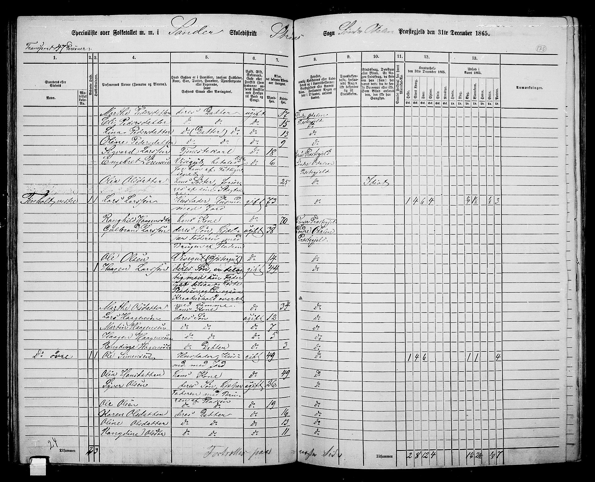 RA, 1865 census for Sør-Odal, 1865, p. 155