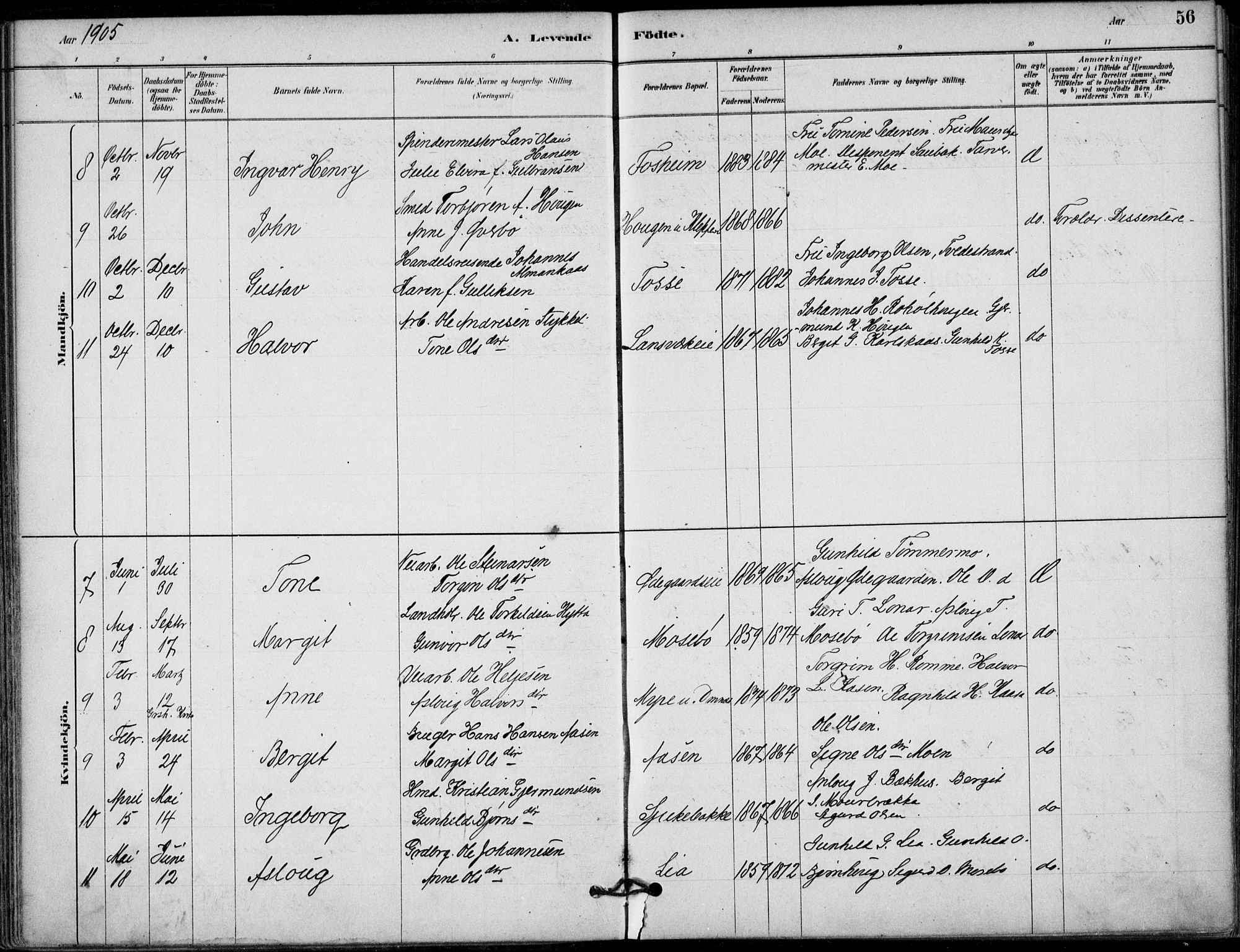 Hjartdal kirkebøker, AV/SAKO-A-270/F/Fb/L0002: Parish register (official) no. II 2, 1880-1932, p. 56