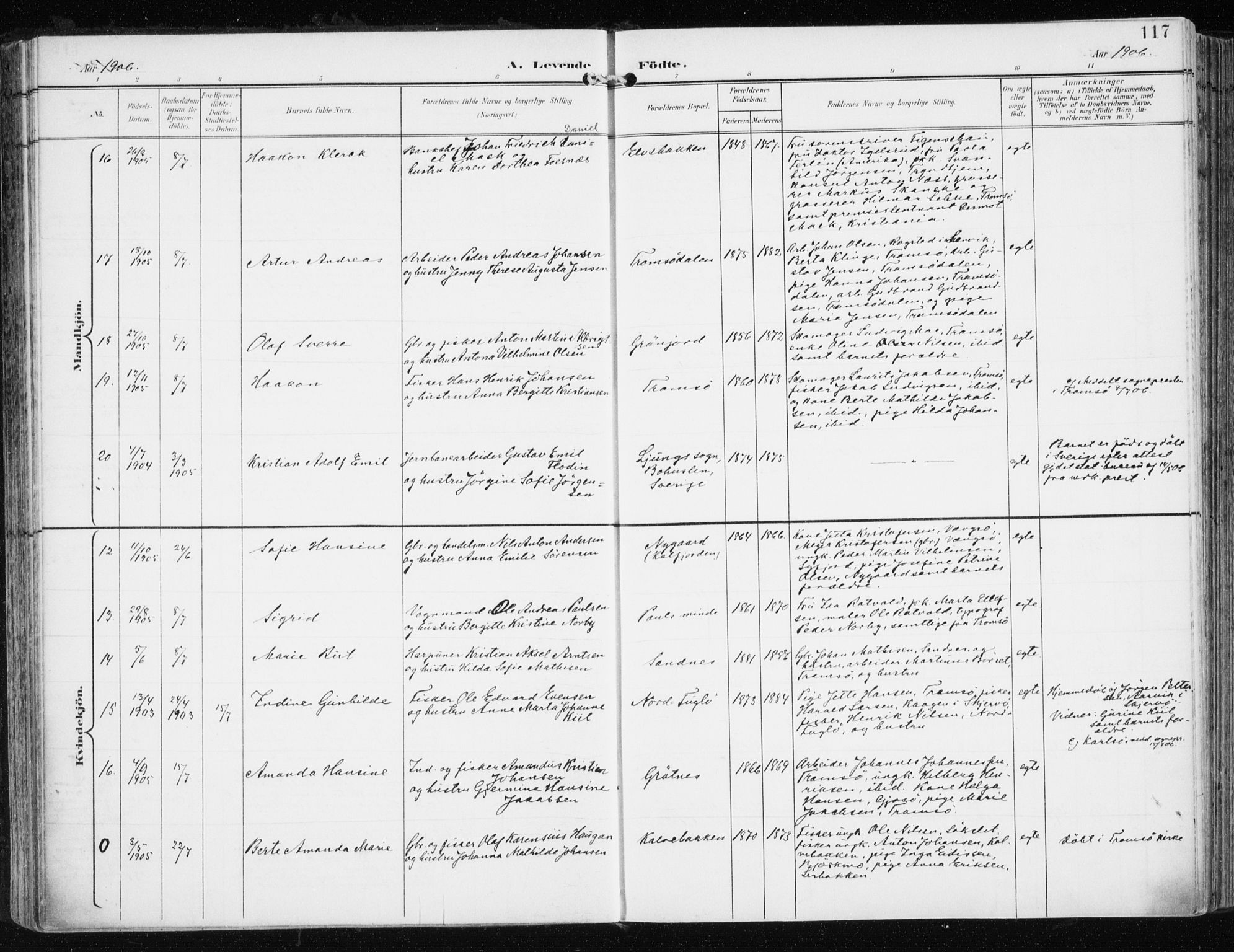 Tromsøysund sokneprestkontor, AV/SATØ-S-1304/G/Ga/L0006kirke: Parish register (official) no. 6, 1897-1906, p. 117