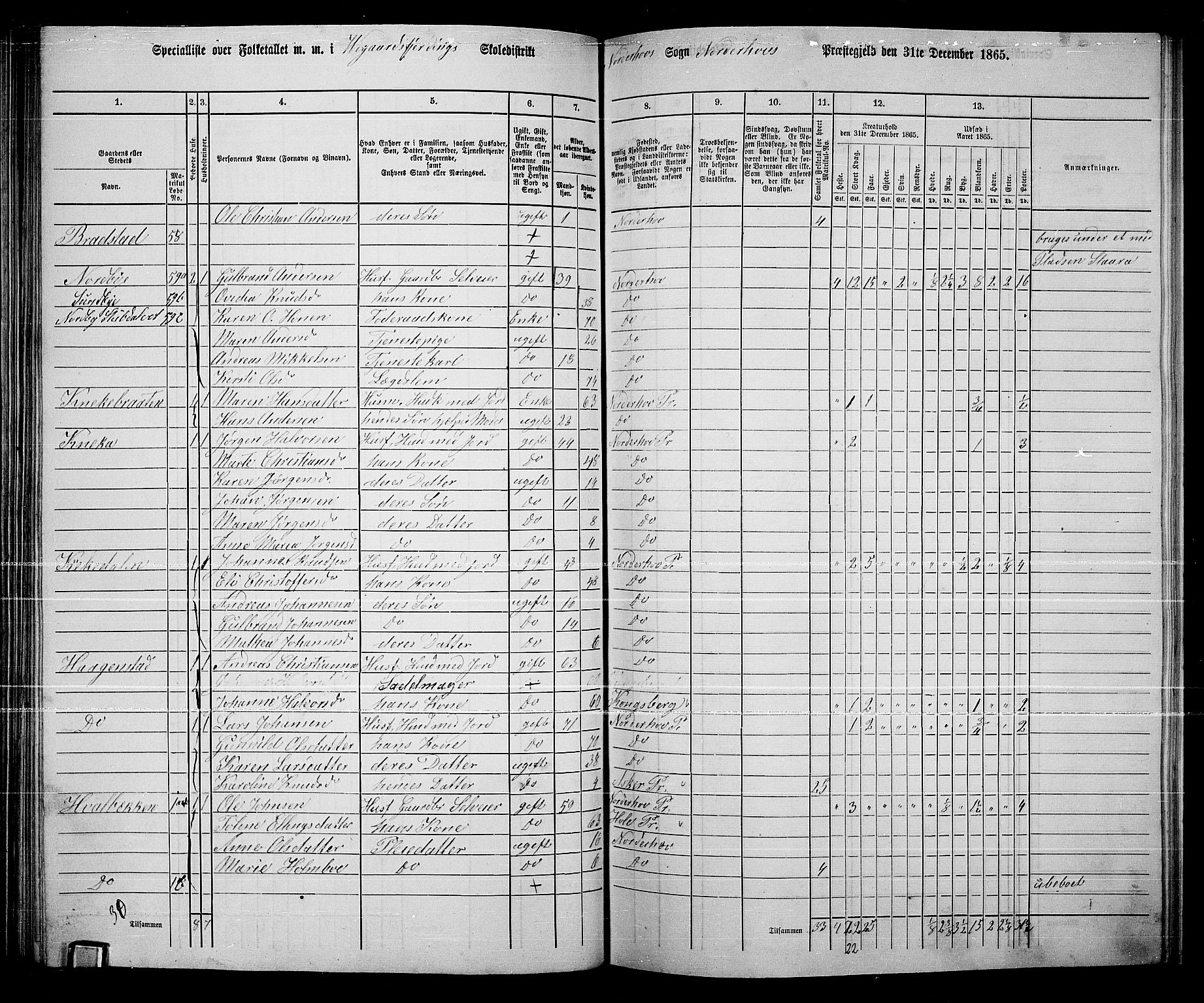 RA, 1865 census for Norderhov/Norderhov, Haug og Lunder, 1865, p. 131