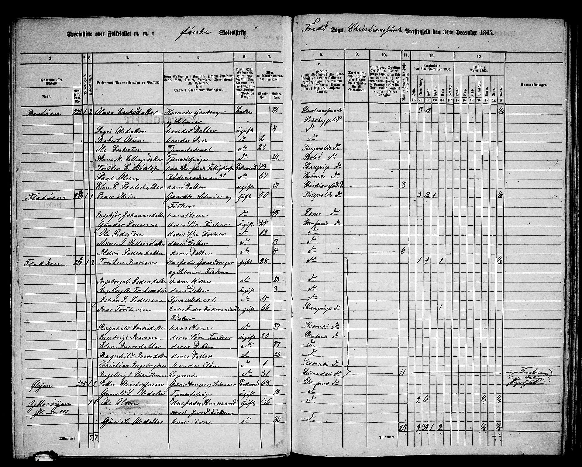 RA, 1865 census for Kristiansund/Frei og Grip, 1865, p. 4