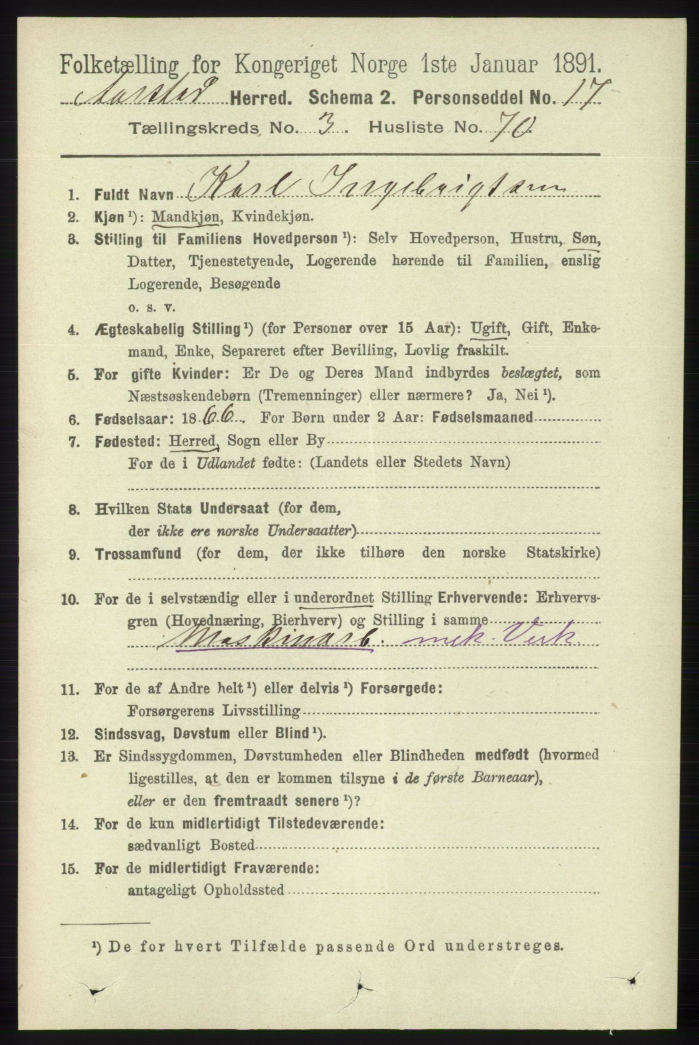 SAB, 1891 Census for 1280 Årstad, 1891, p. 2866