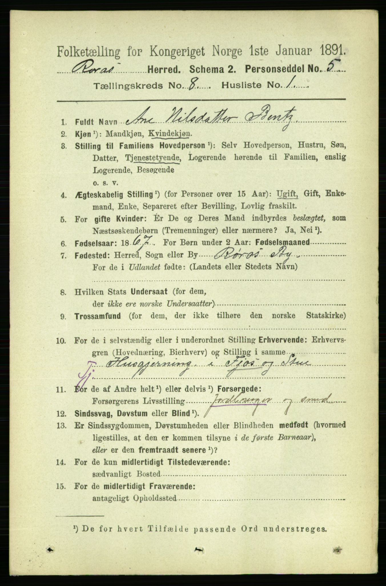 RA, 1891 census for 1640 Røros, 1891, p. 1609