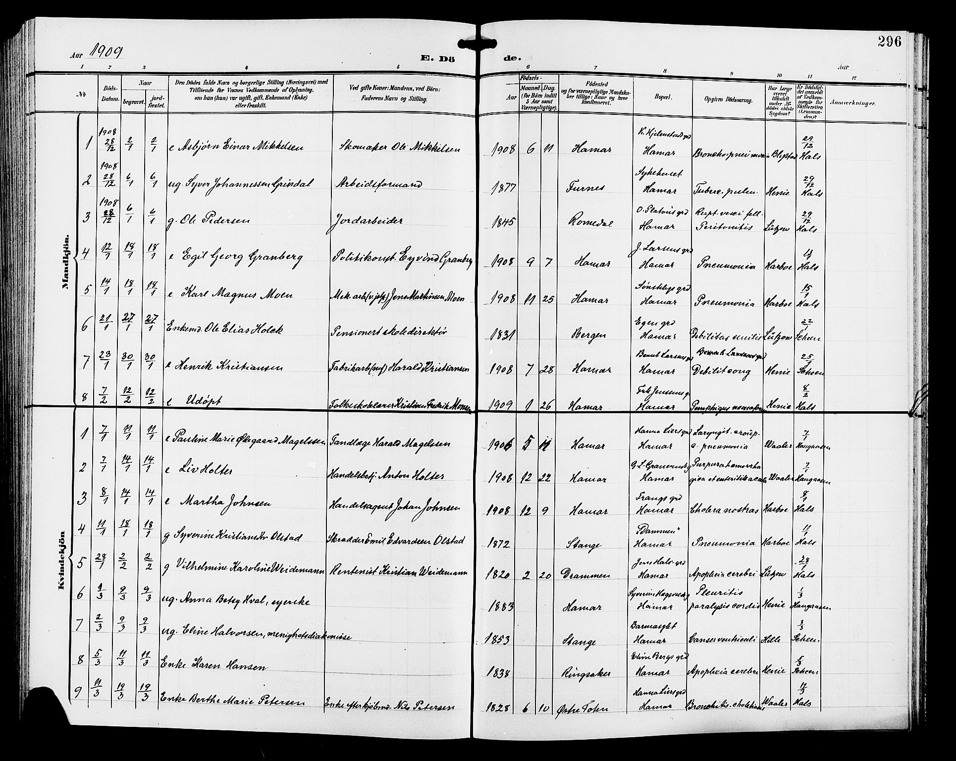 Hamar prestekontor, AV/SAH-DOMPH-002/H/Ha/Hab/L0001: Parish register (copy) no. 1, 1899-1914, p. 296